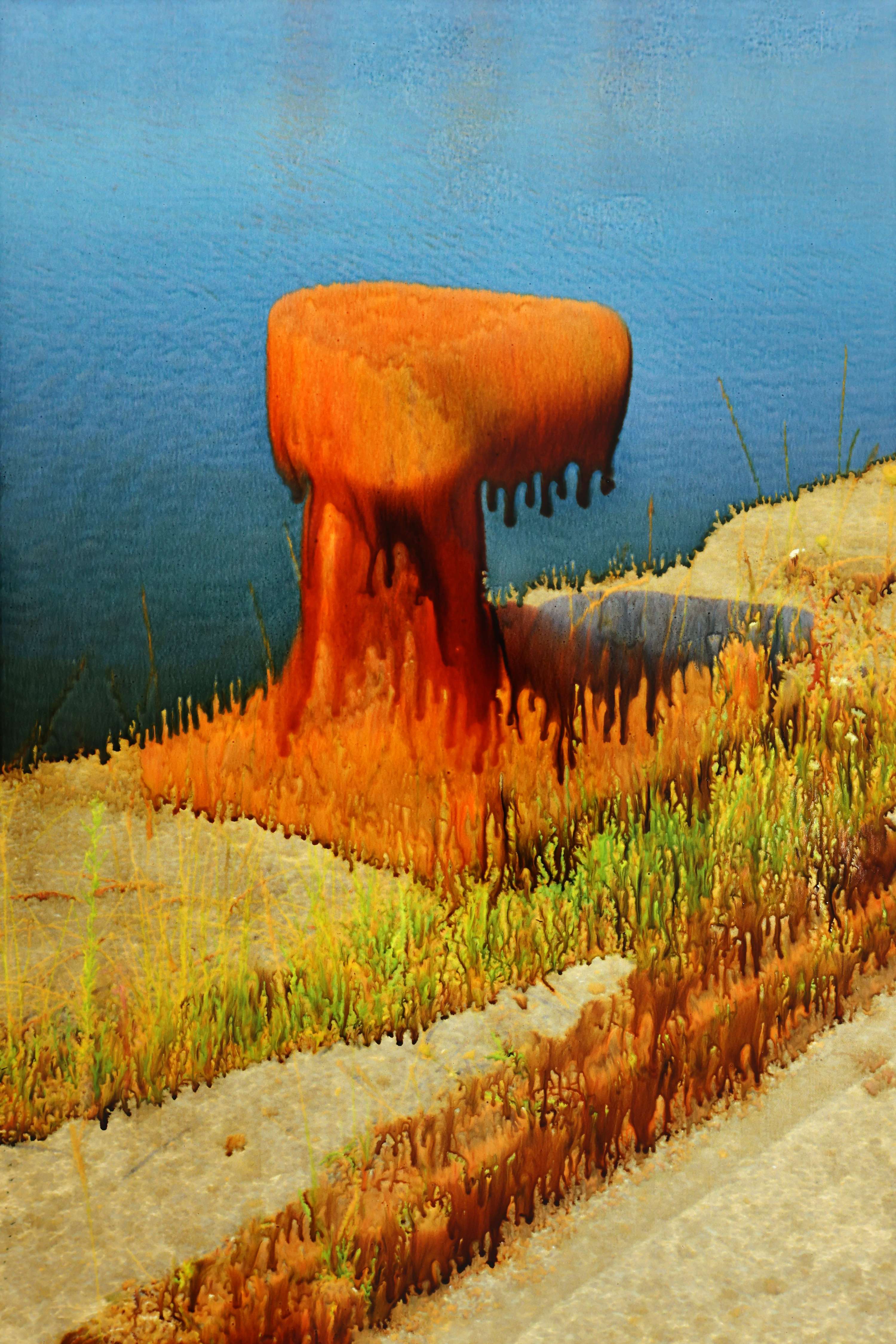FLYSCH by Martin Del Busto