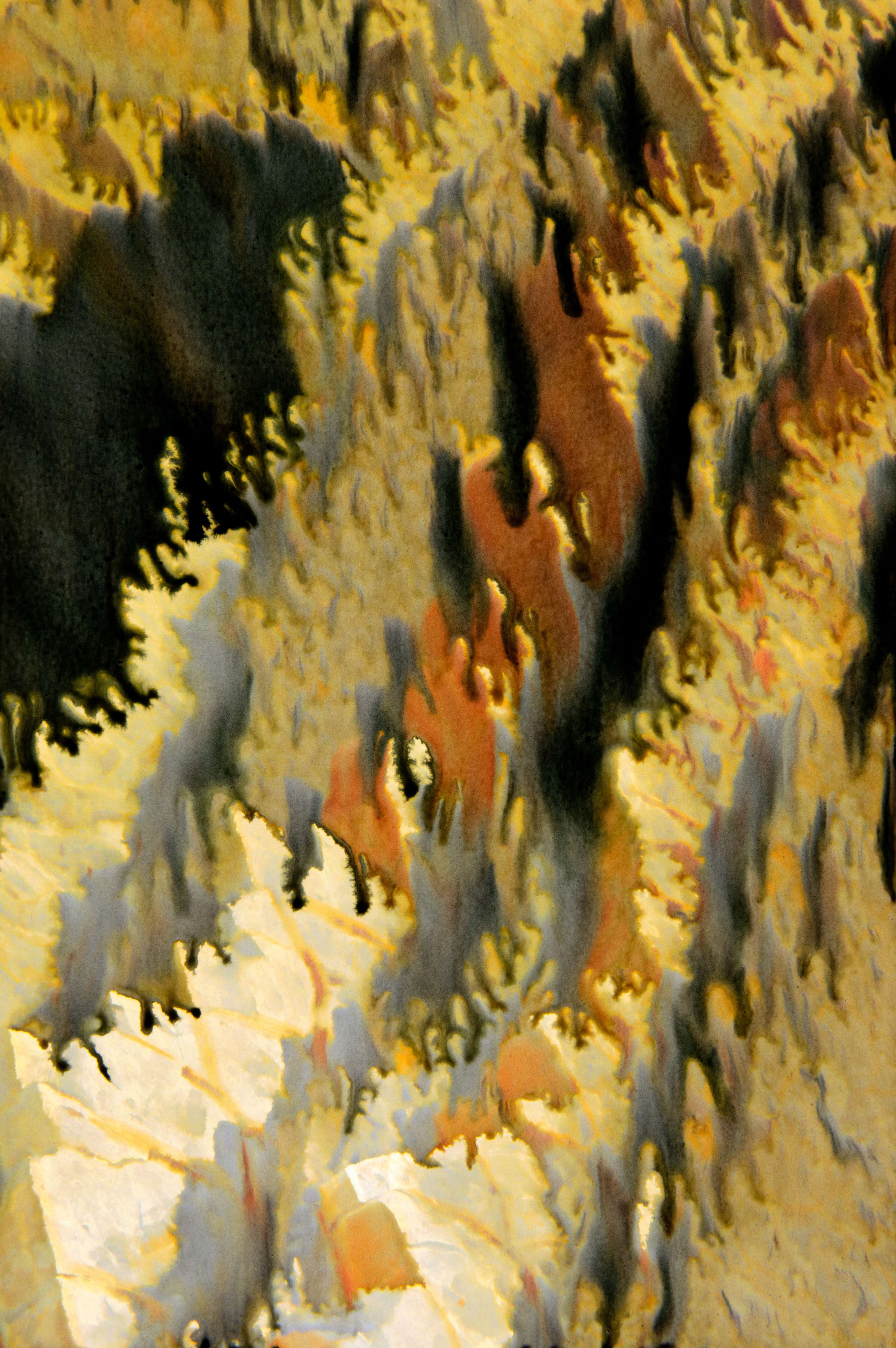 FLYSCH by Martin Del Busto