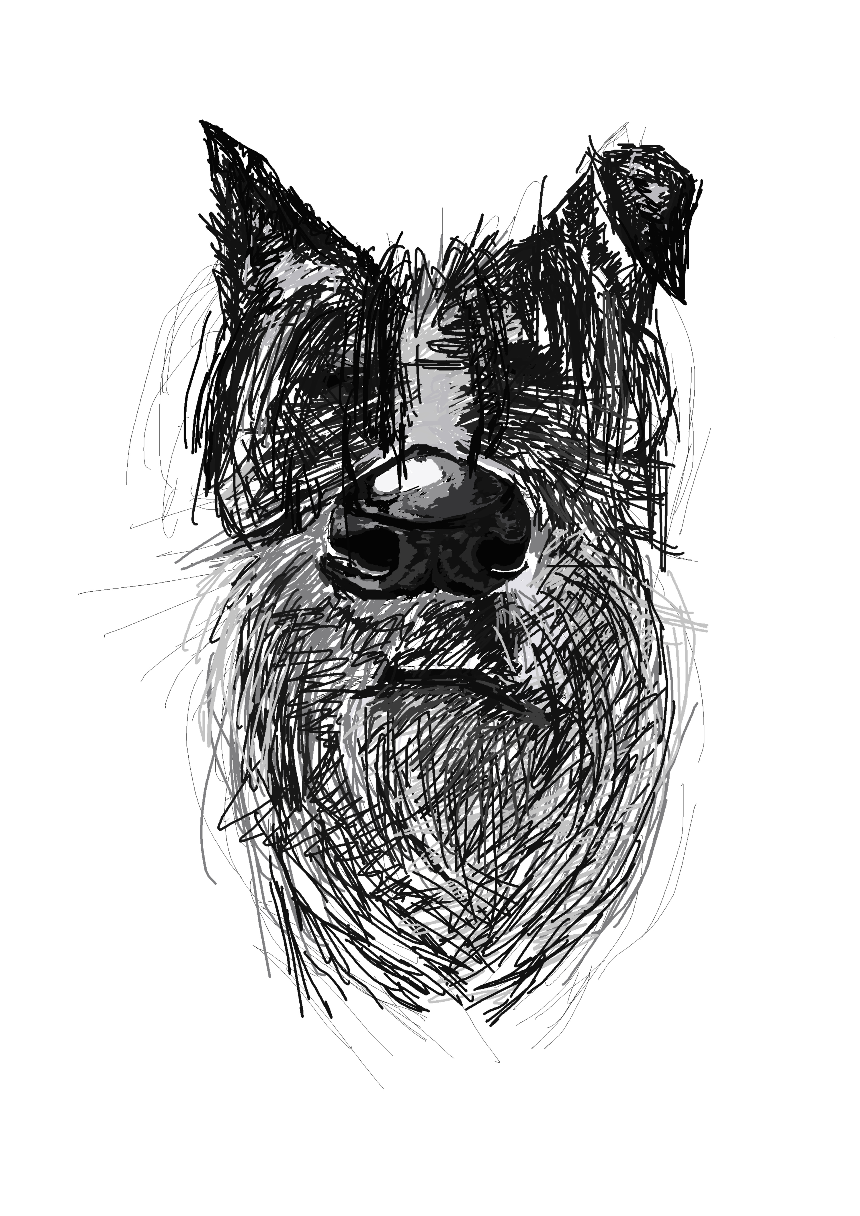 Sketching dogs and characters. by Gosia Pałys-Dudek