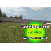 0857 3259 0133, Harga Rumput Gajah Mini Kota Kediri logo
