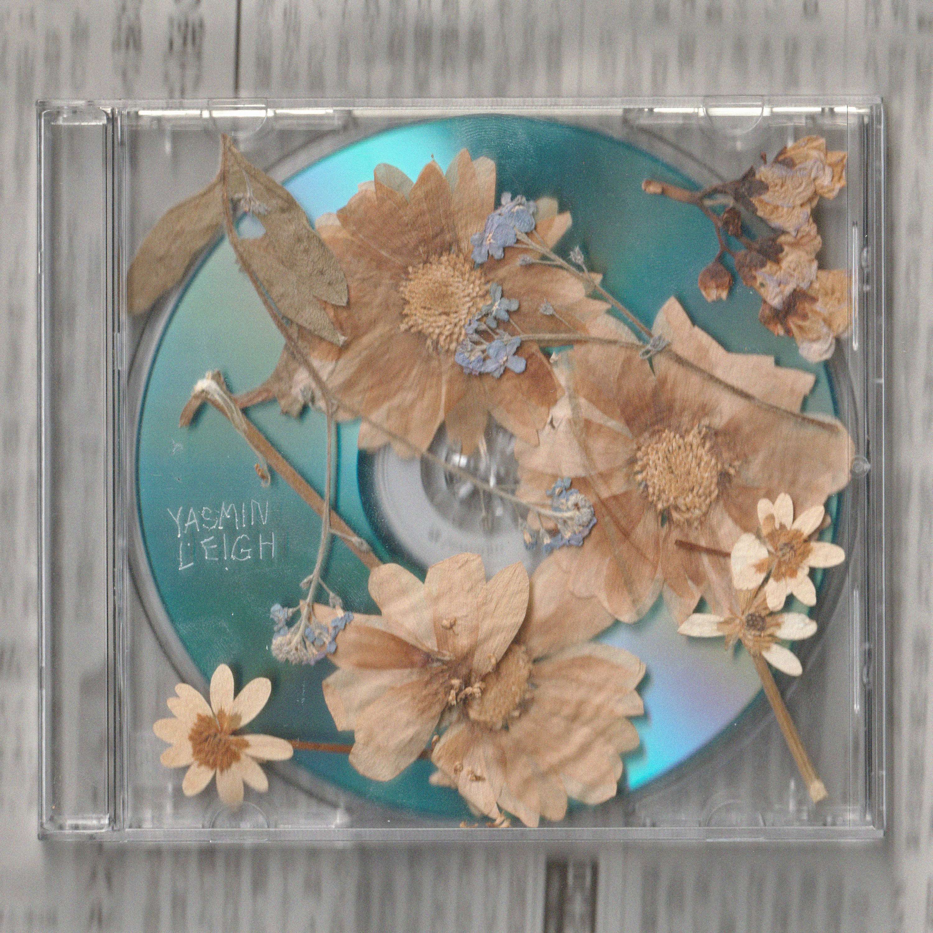 Demos Found in Dust (1) by Yasmin Leigh