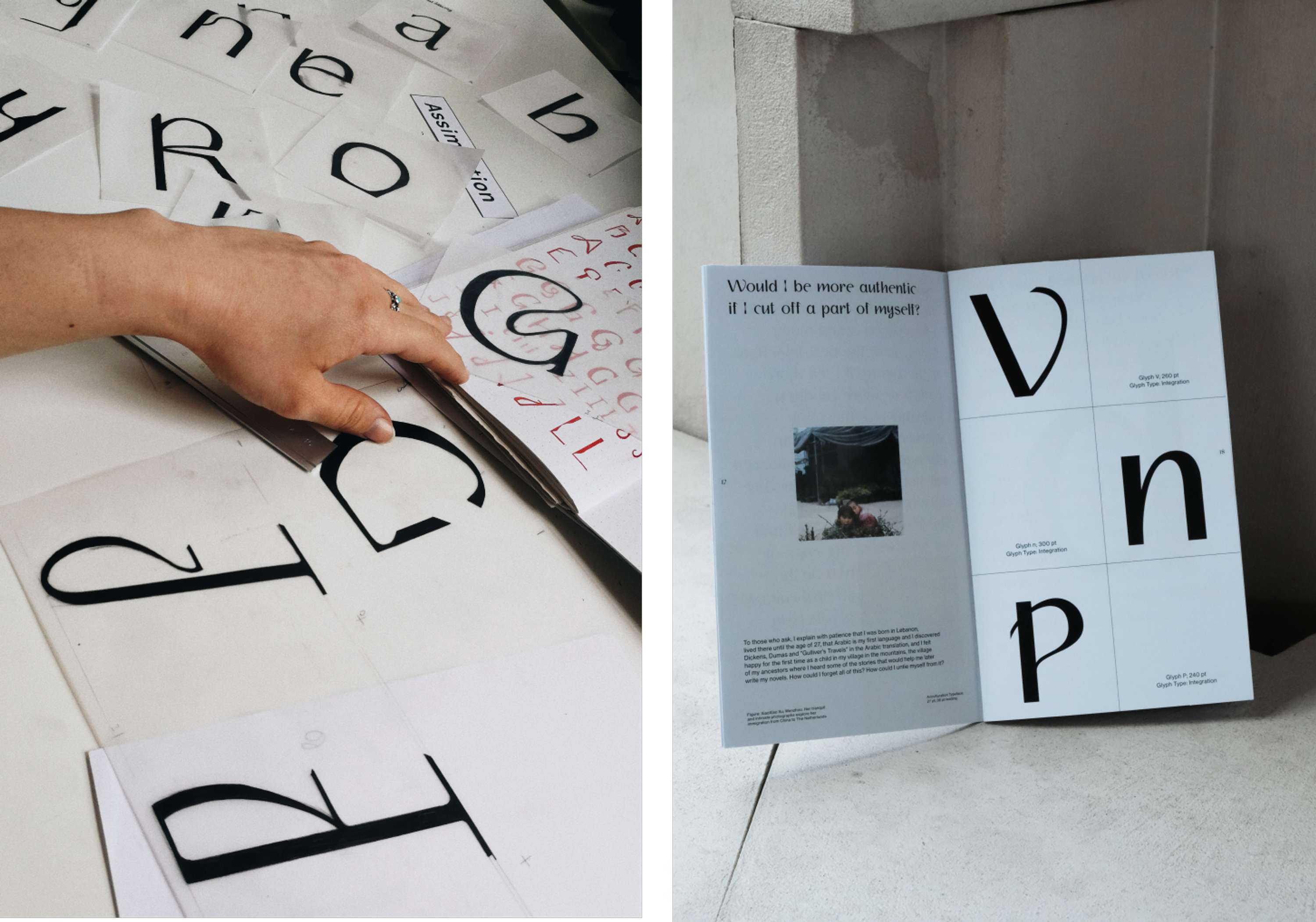 ACCULTURATION DISPLAY by Agnese Pulvirenti