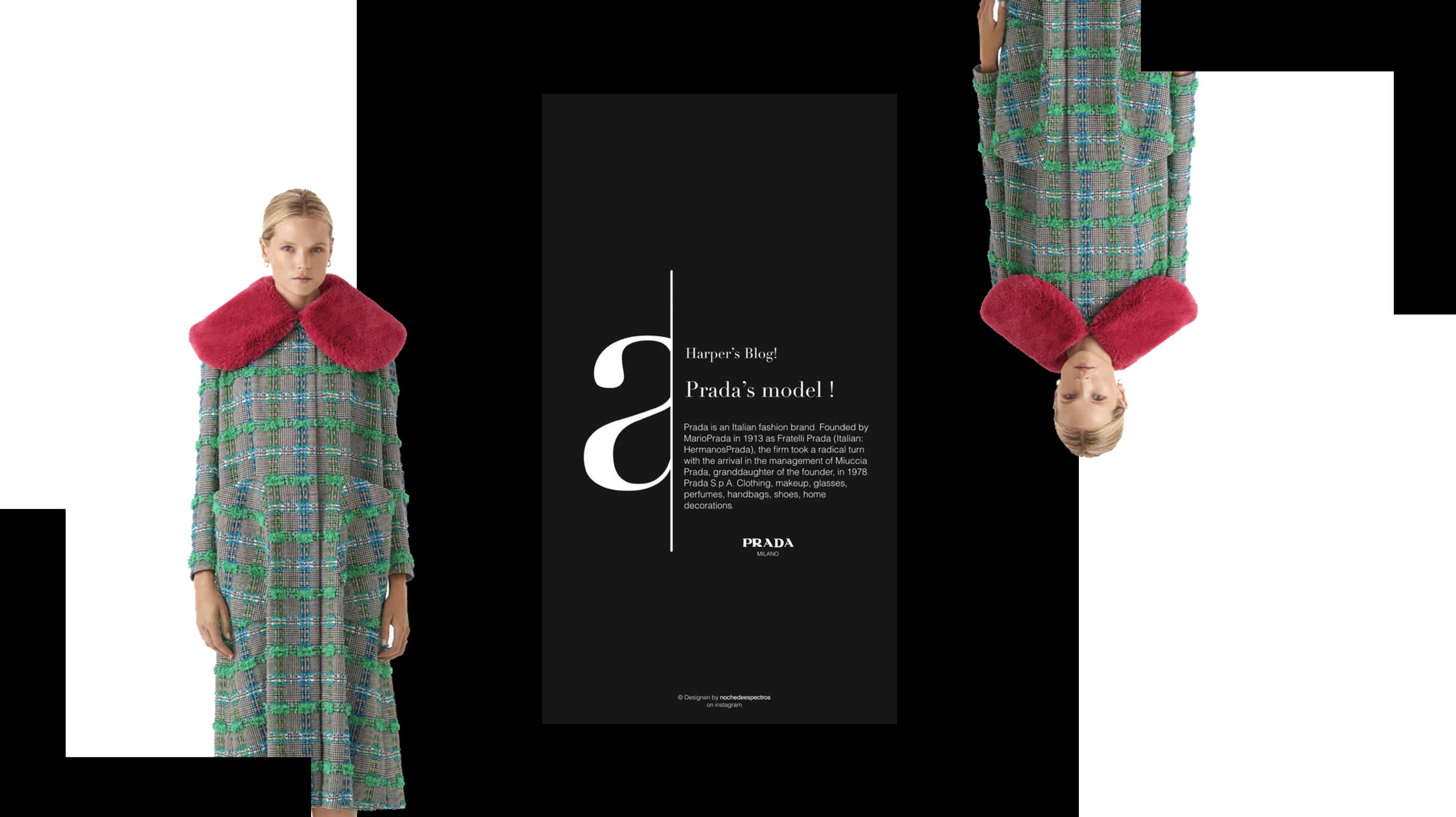 Conceptual Stage |  Marketing Material | Print by Ellissa White