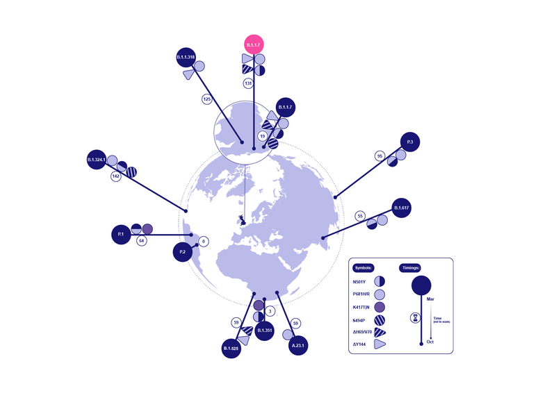 Phylogenetic Figures: Early SARS-CoV-2 Pandemic by Ali Molloy