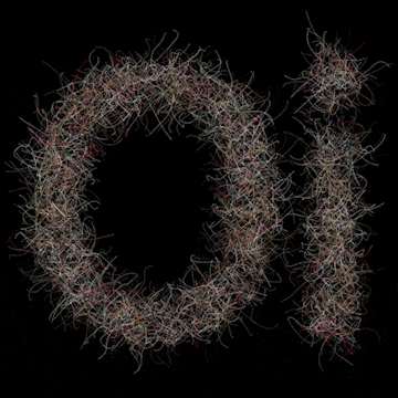 Coded Typography (Experiments with Code) by Ali Molloy