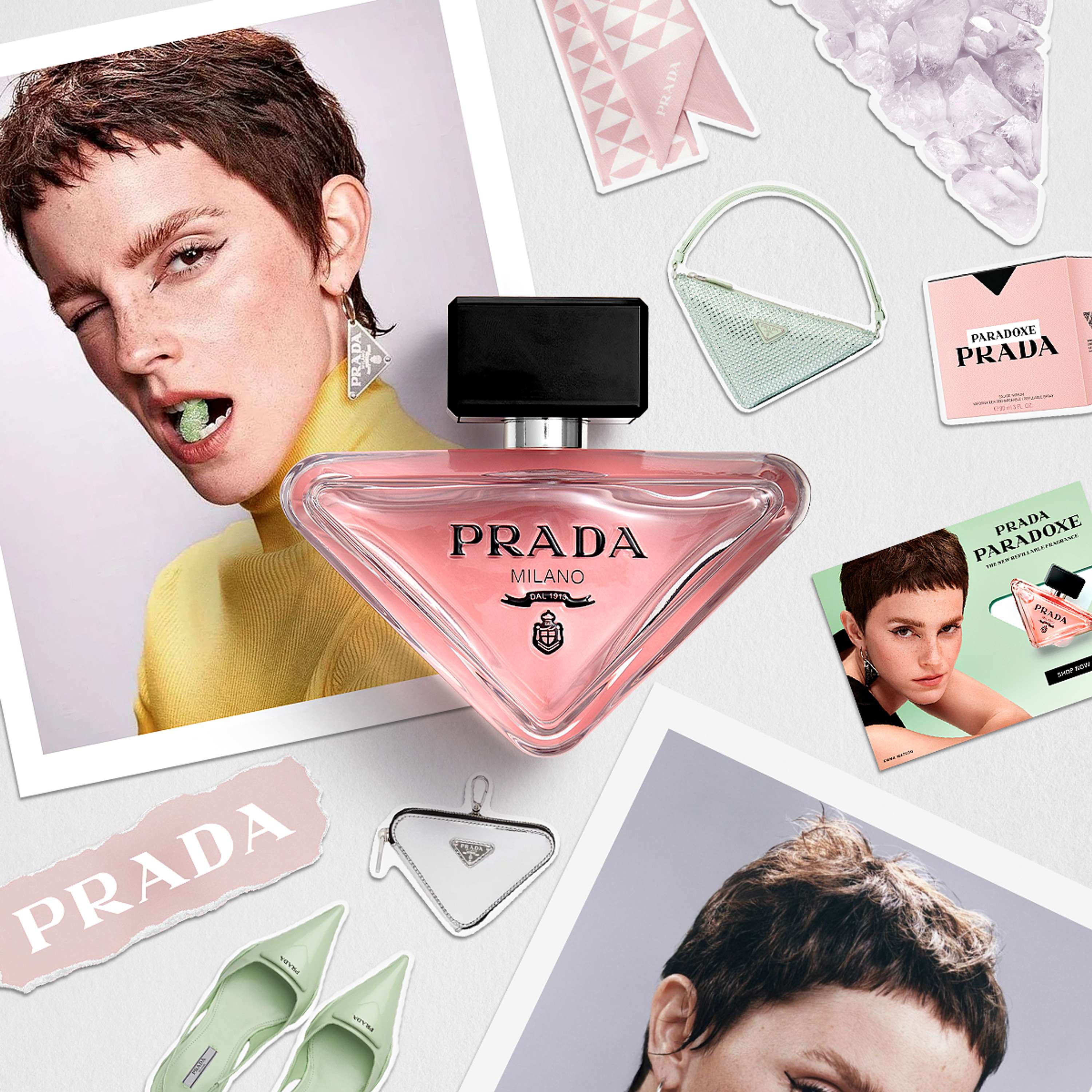 Prada Paradox by Rosa Fay