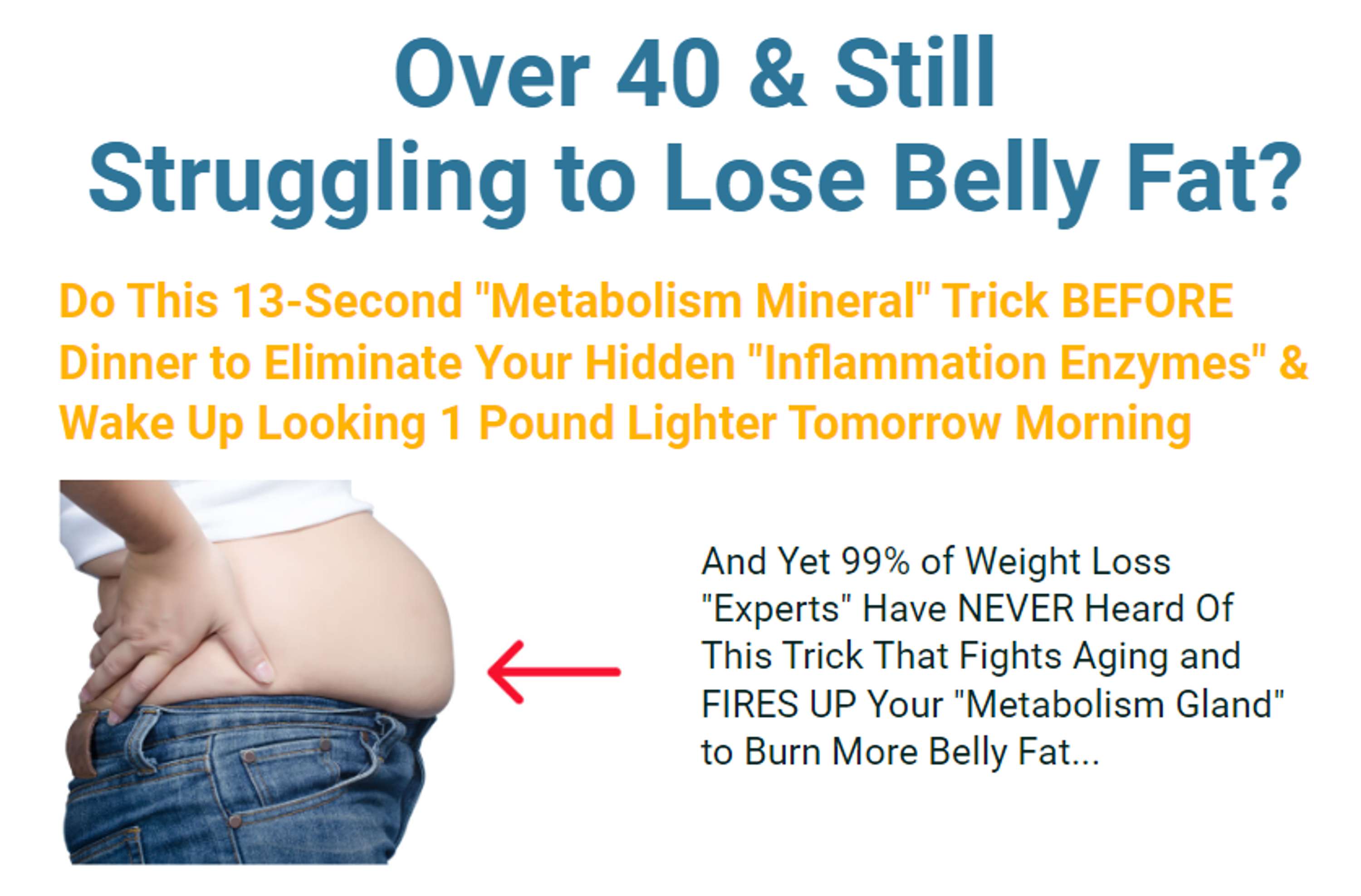 Wake Up Lean: 10-Day Flat Belly Blueprint by Meredith Shirk