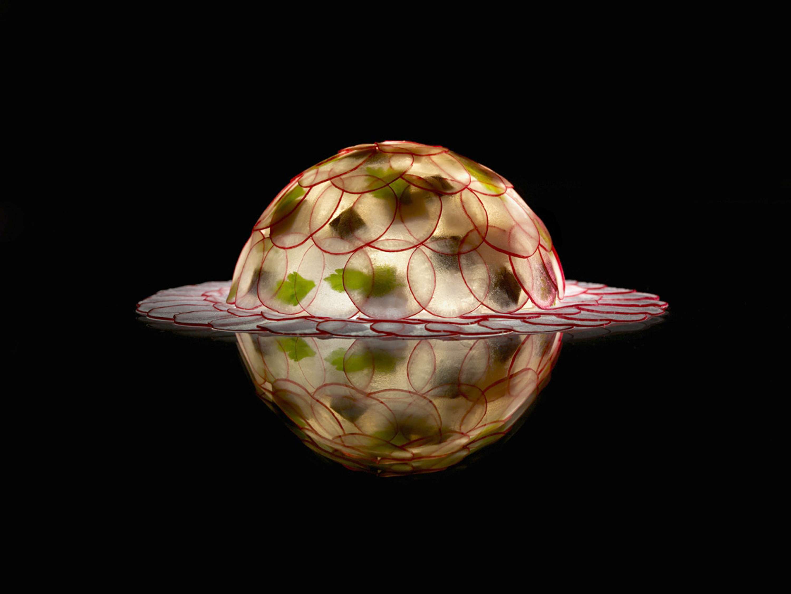Fat Duck Project by Dominic Davies