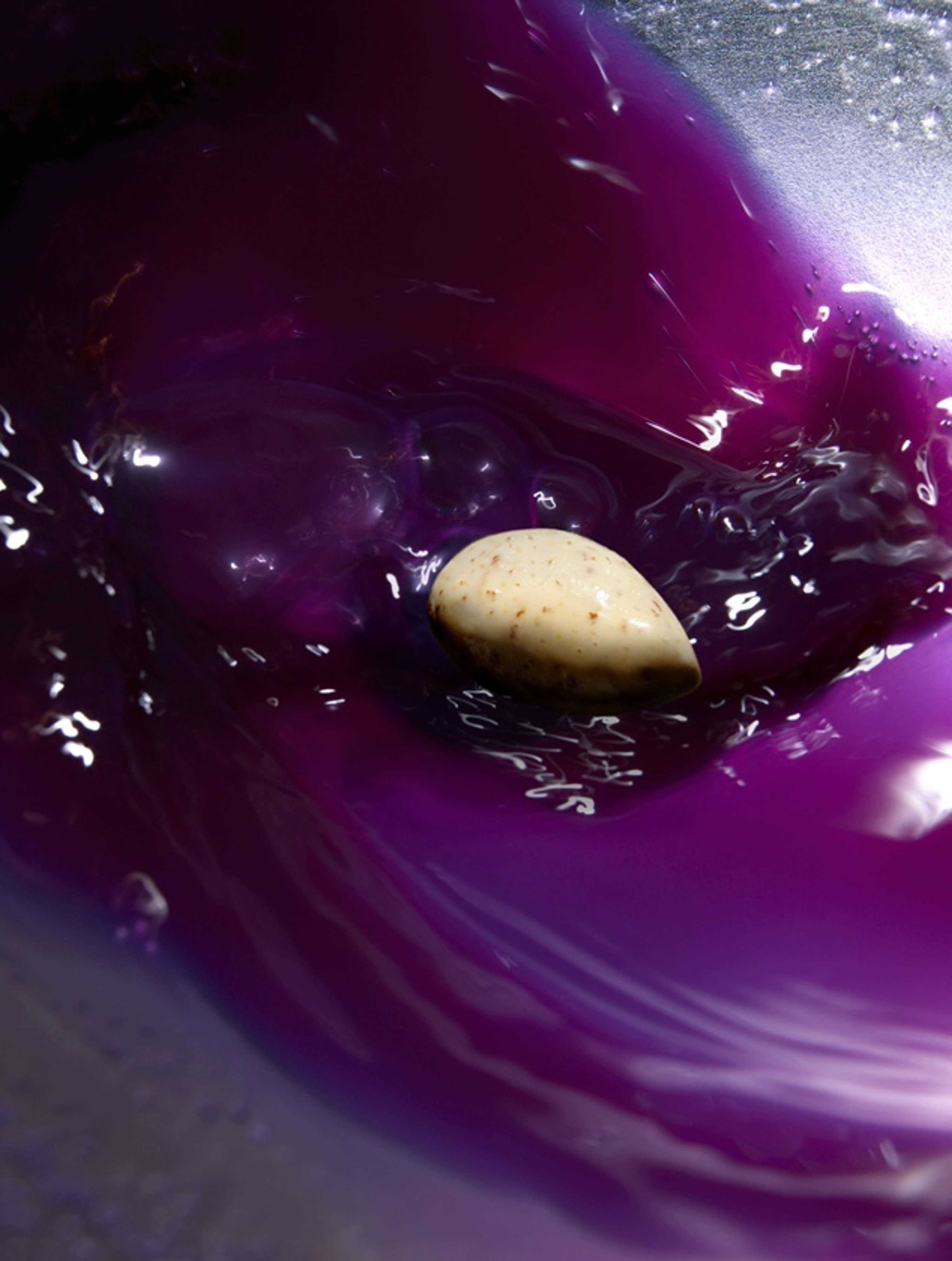 Fat Duck Project by Dominic Davies