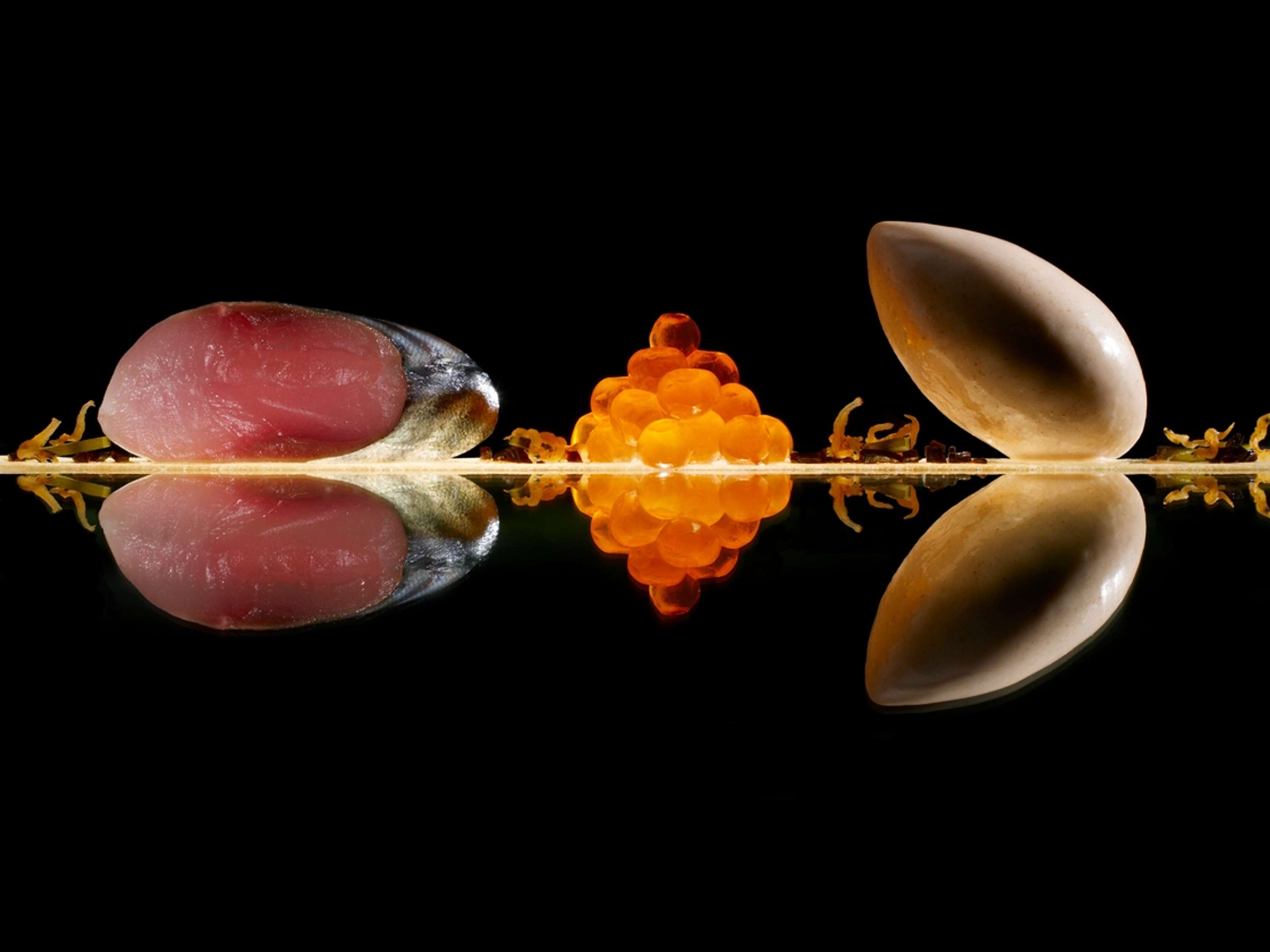 Fat Duck Project by Dominic Davies