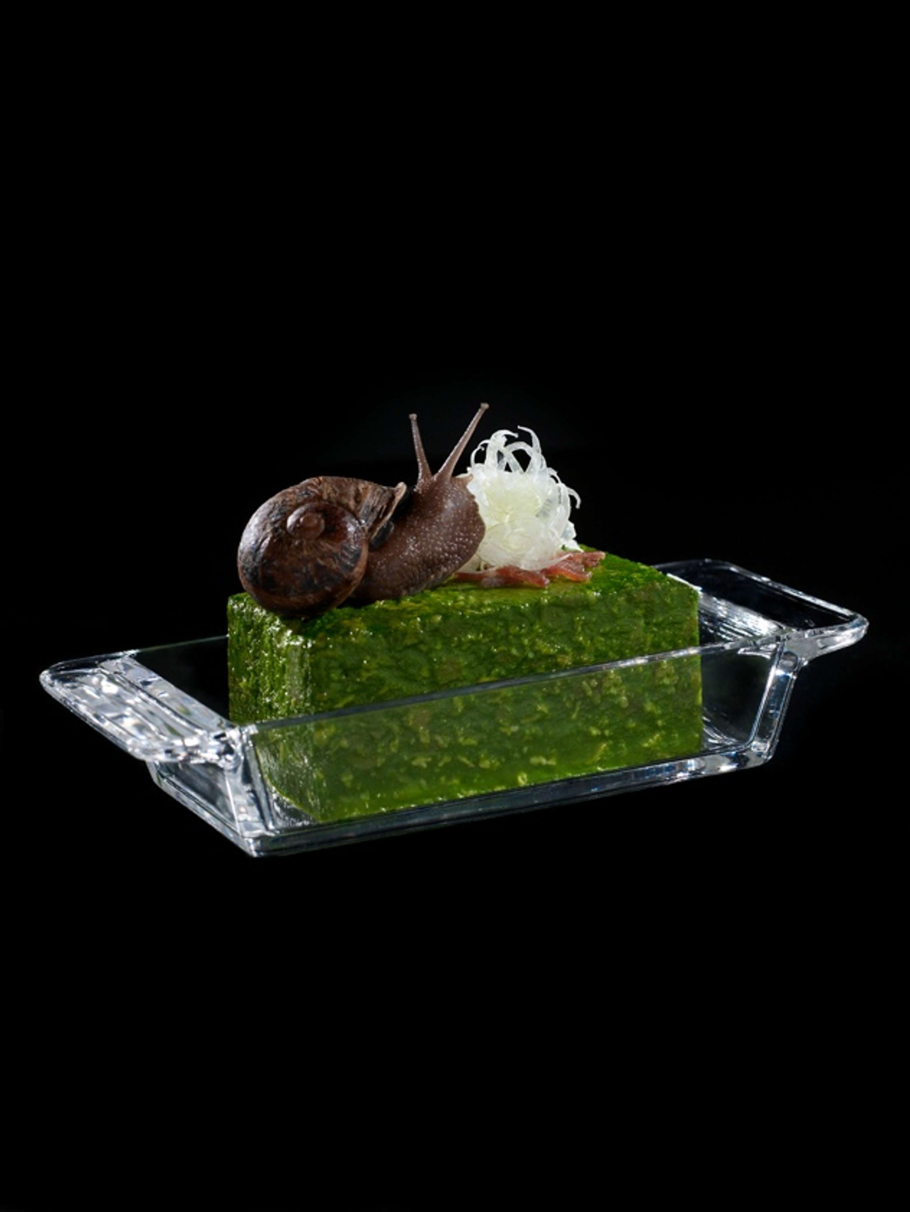 Fat Duck Project by Dominic Davies