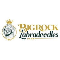 Big Rock Labradoodles logo