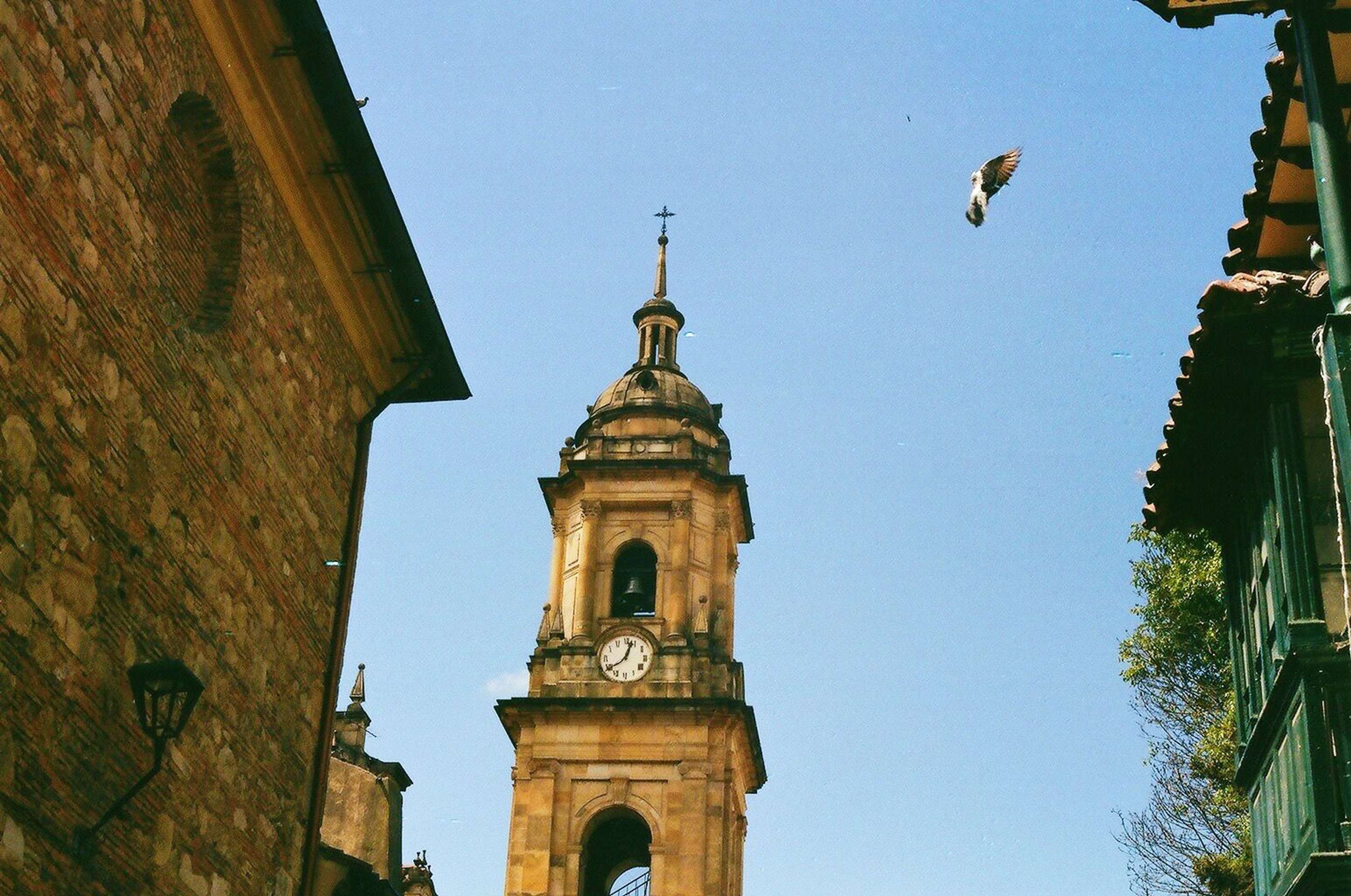 Analog Photography by Laura Montes