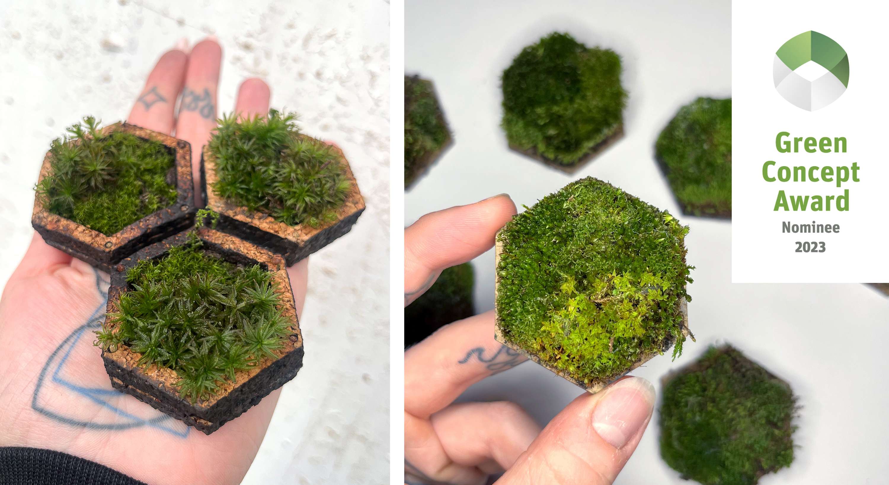GROWABLE GRAPHICS: WORKING WITH NATURE TO CREATE SUSTAINABLE DESIGN SOLUTIONS by Creative Conscience