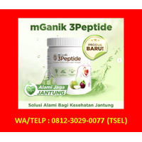 Agen mGanik 3Peptide Tambulaka – WA/Telp : 0812-3029-0077 (TSEL) logo