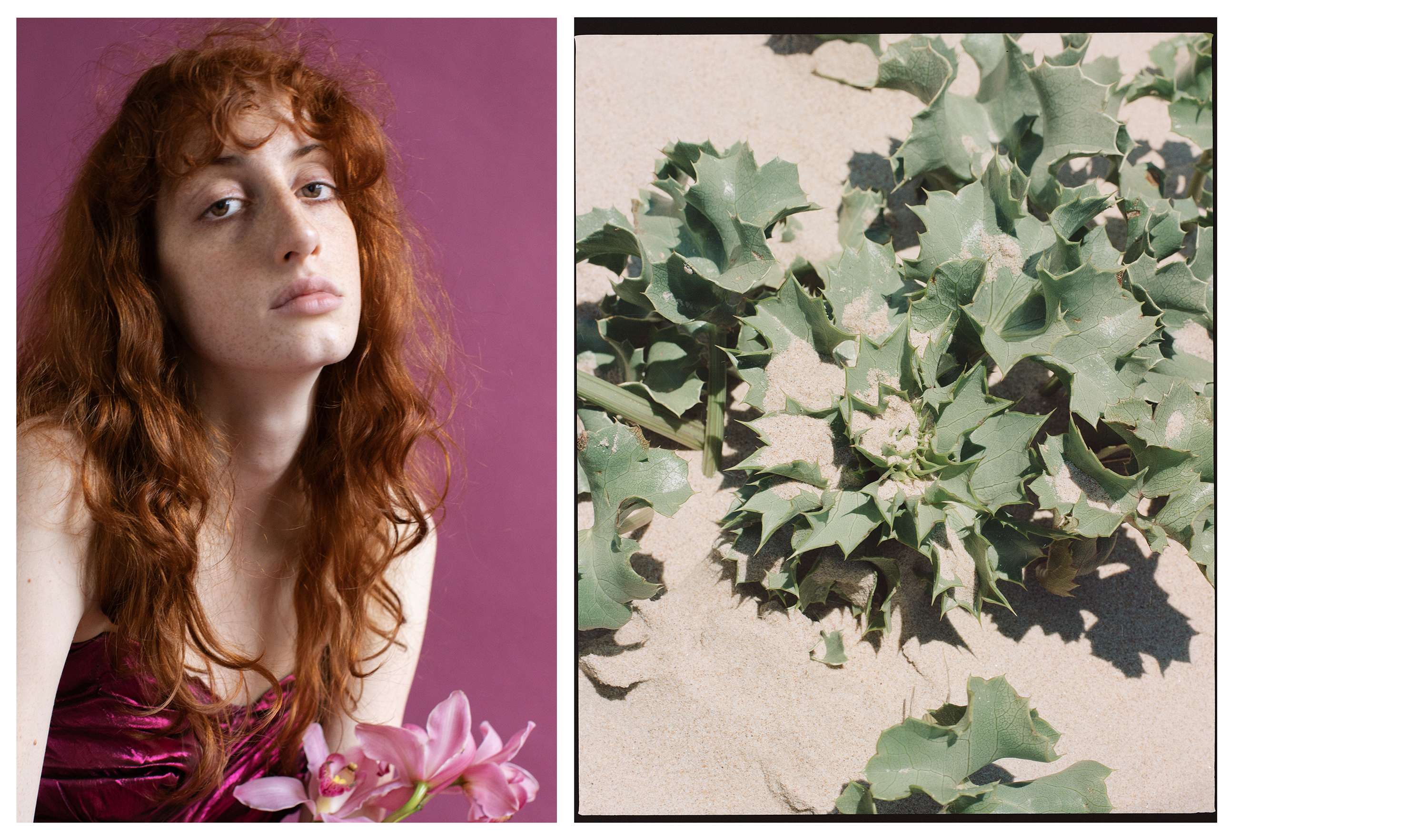 Spring by MÉLO (Mélodie Roulaud)