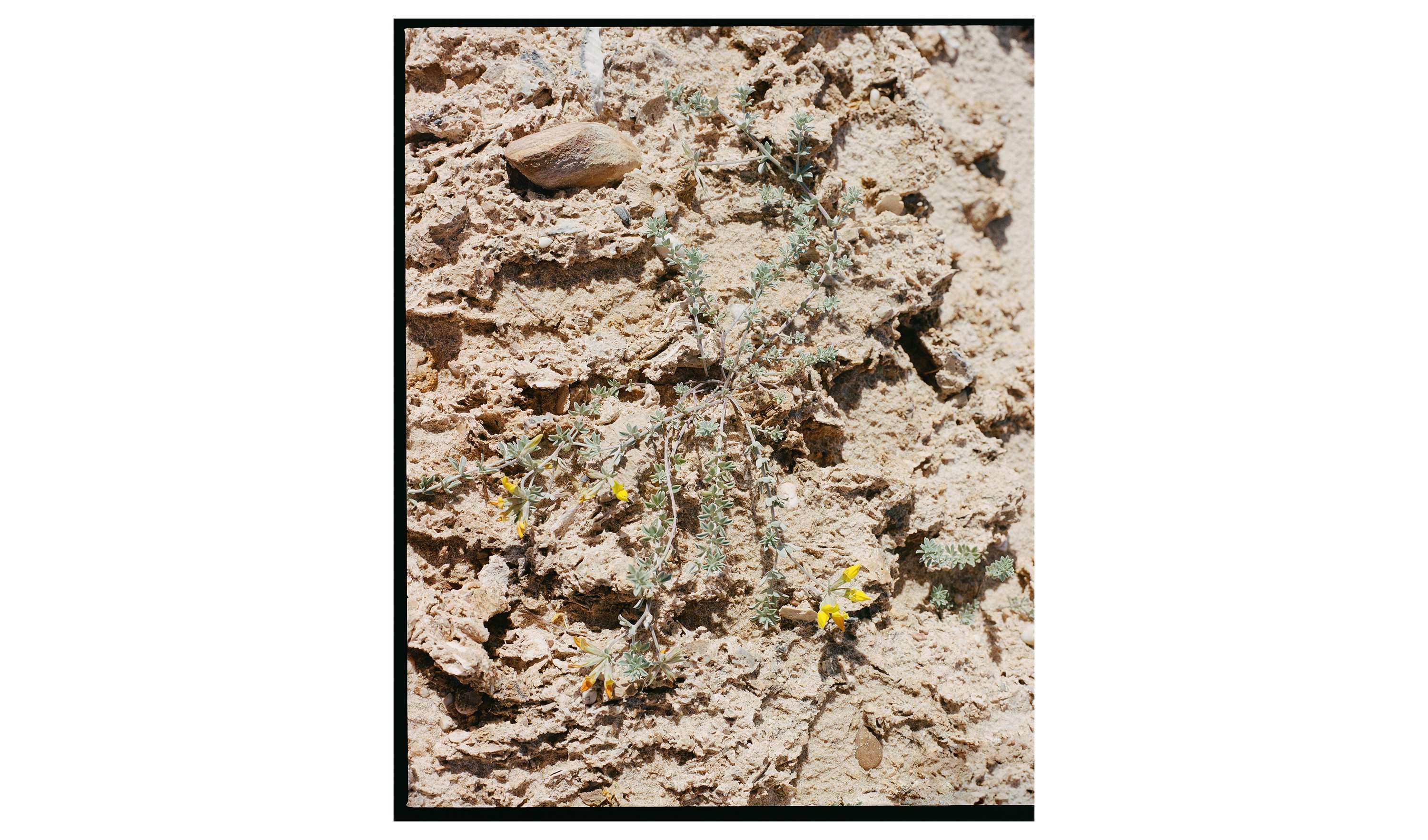 Spring by MÉLO (Mélodie Roulaud)
