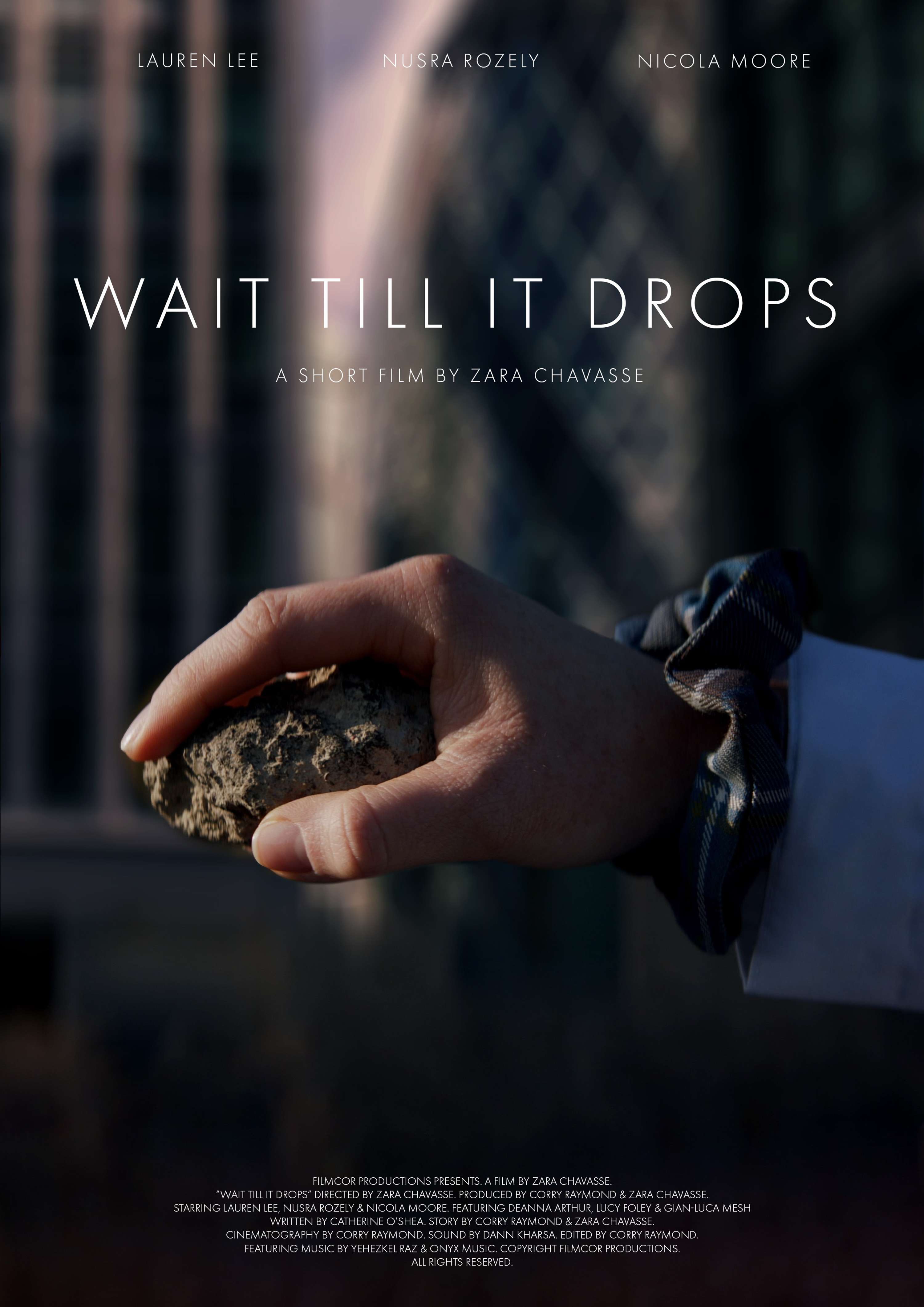 Wait Till It Drops by Zara Edwards