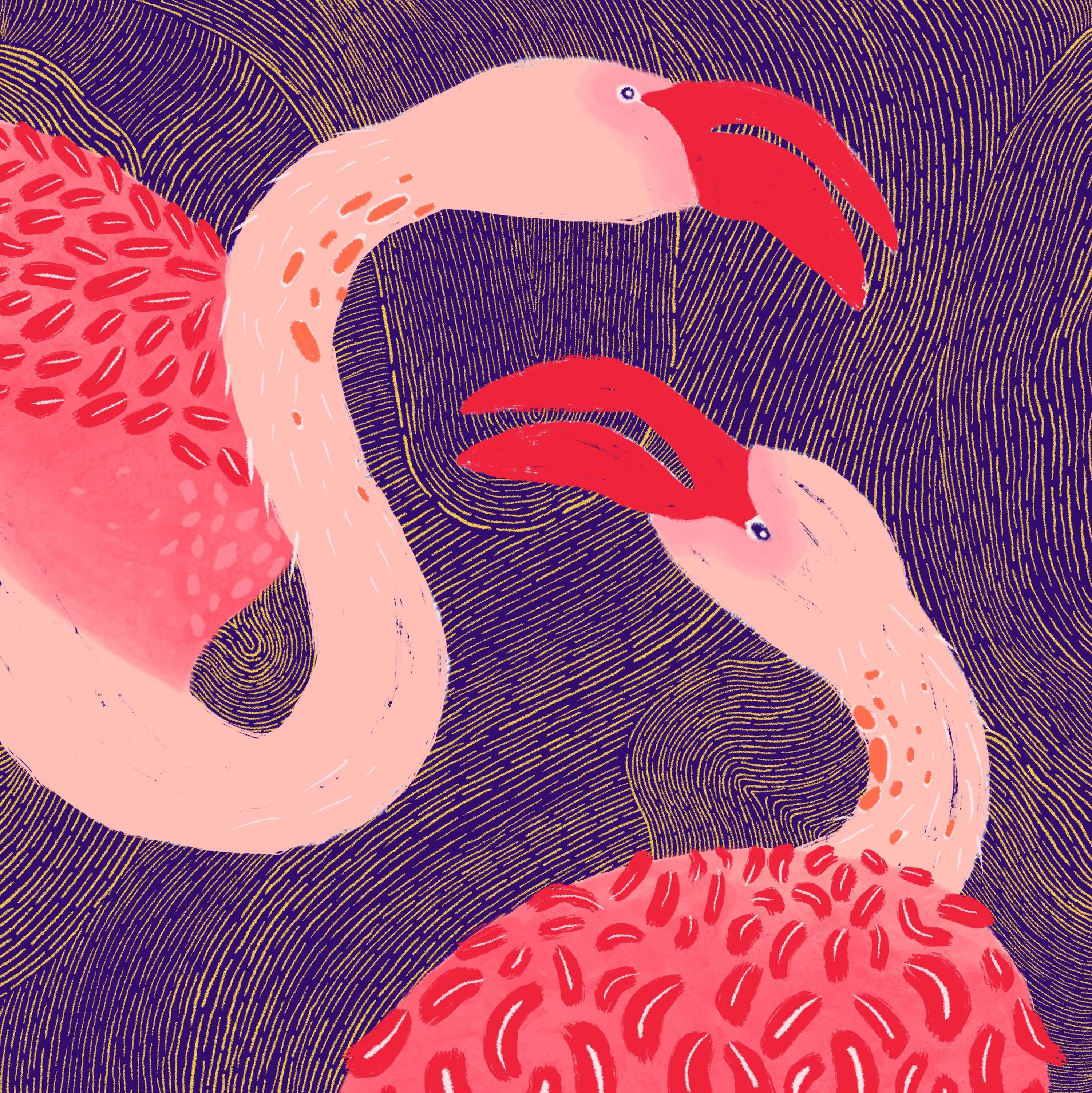 Pattern Explorations by Malvika Nair