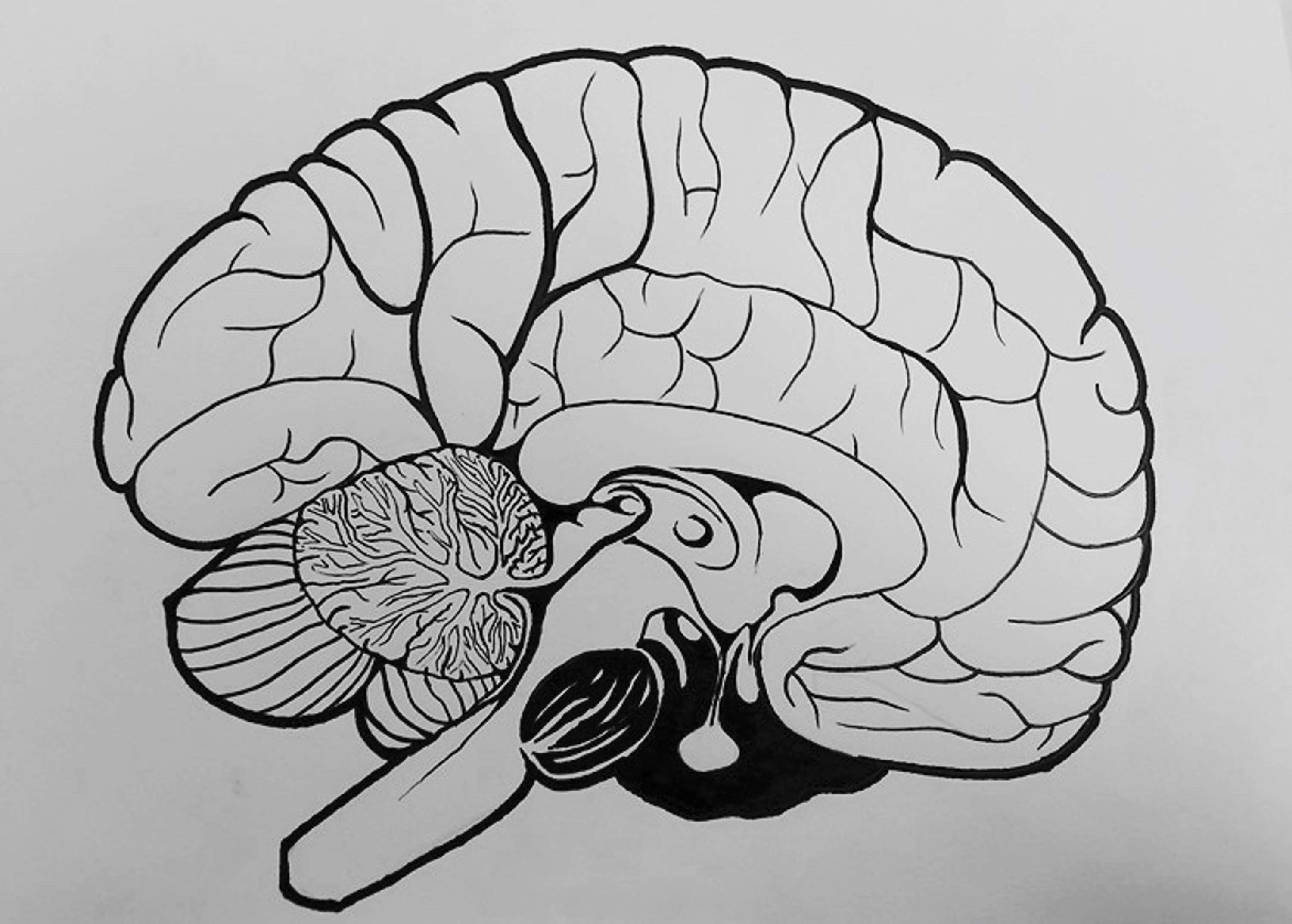 Insight by Maddy Caless