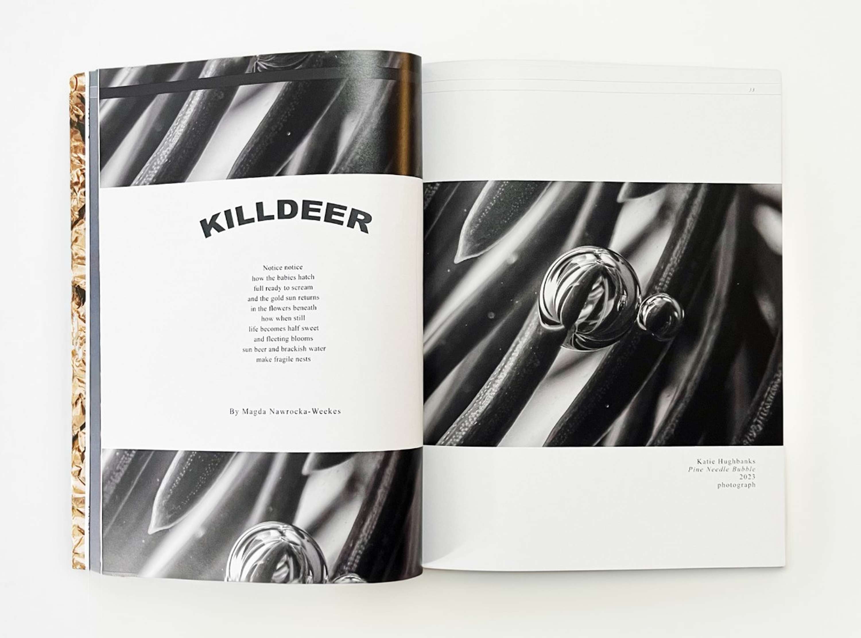 Moonday Mag: Untouchable Issue by Magda Nawrocka-Weekes