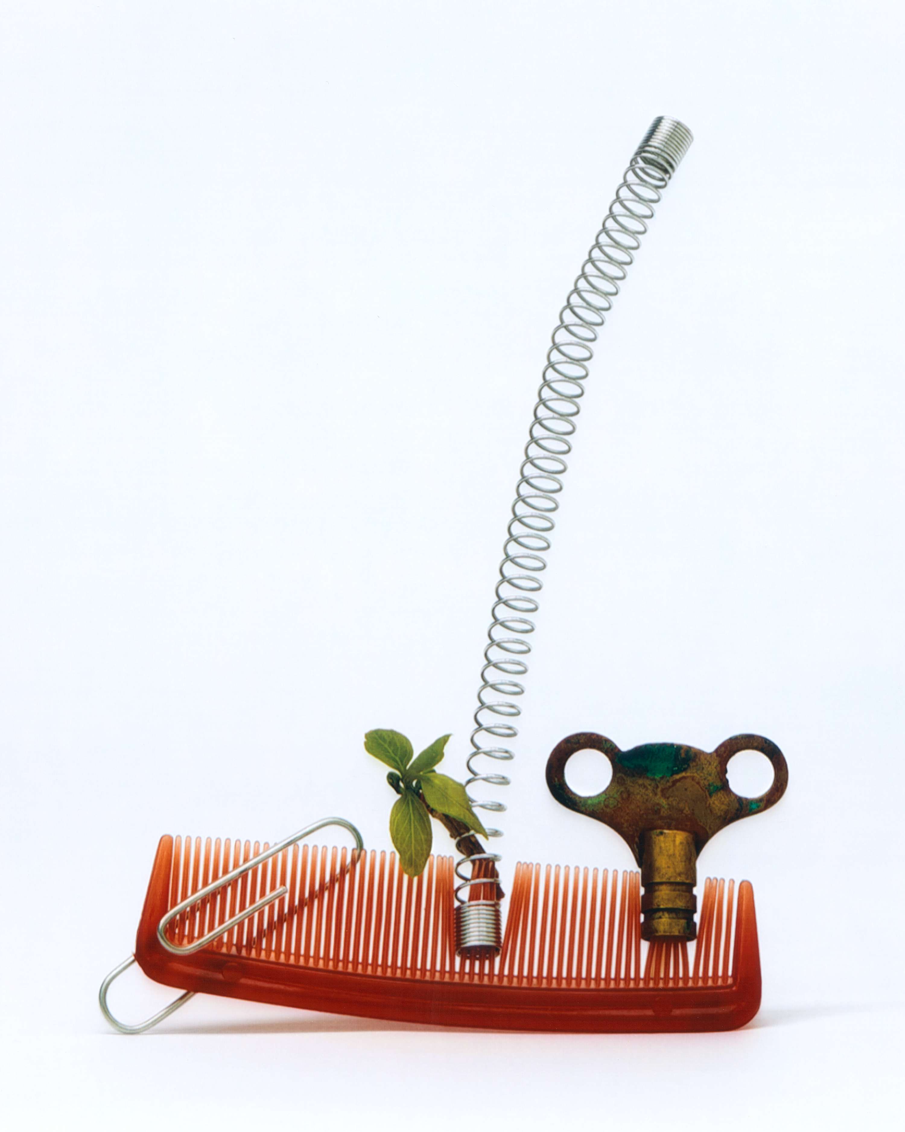 Spring Clean by Lucy Fraser