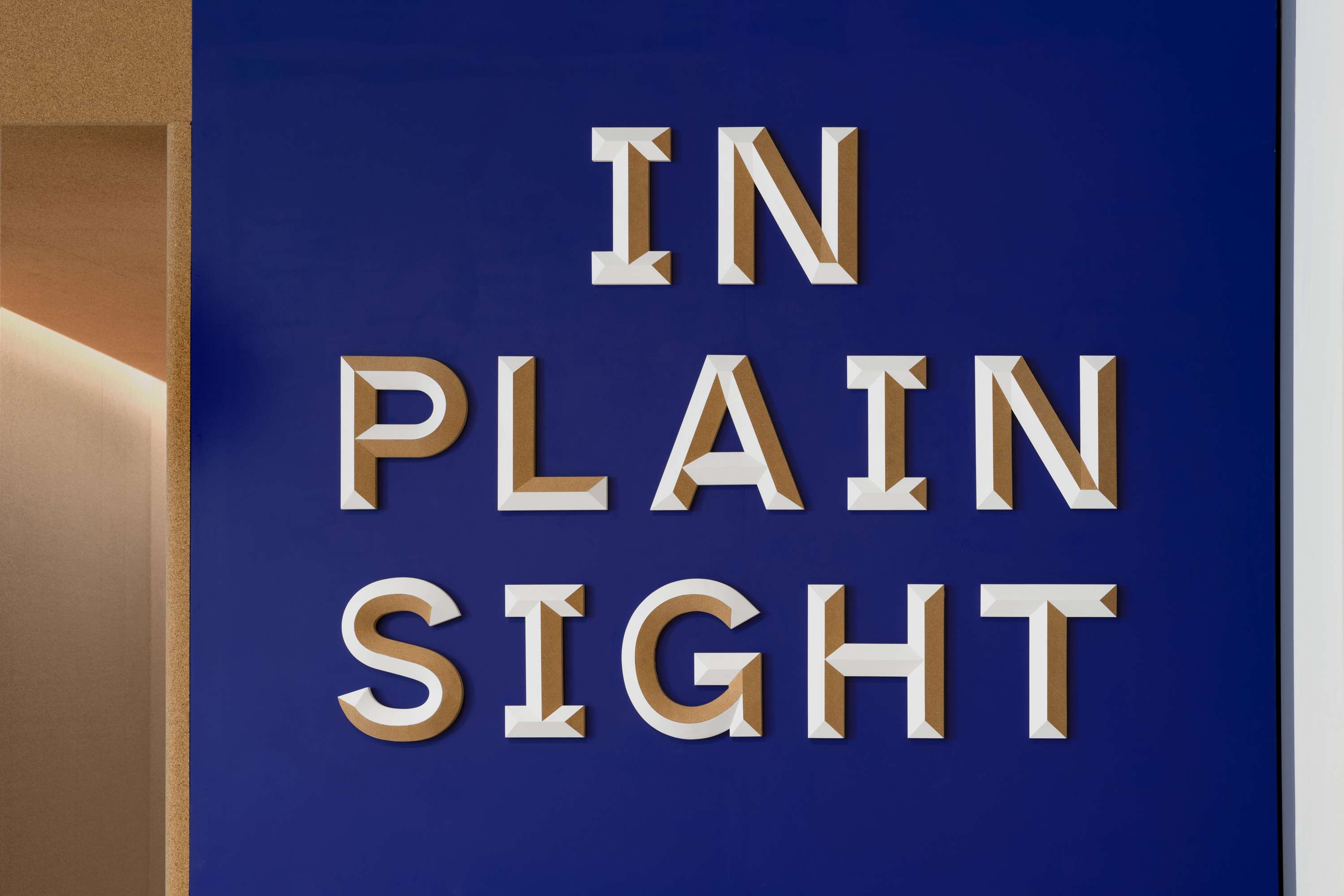 In Plain Sight by Luke Gould