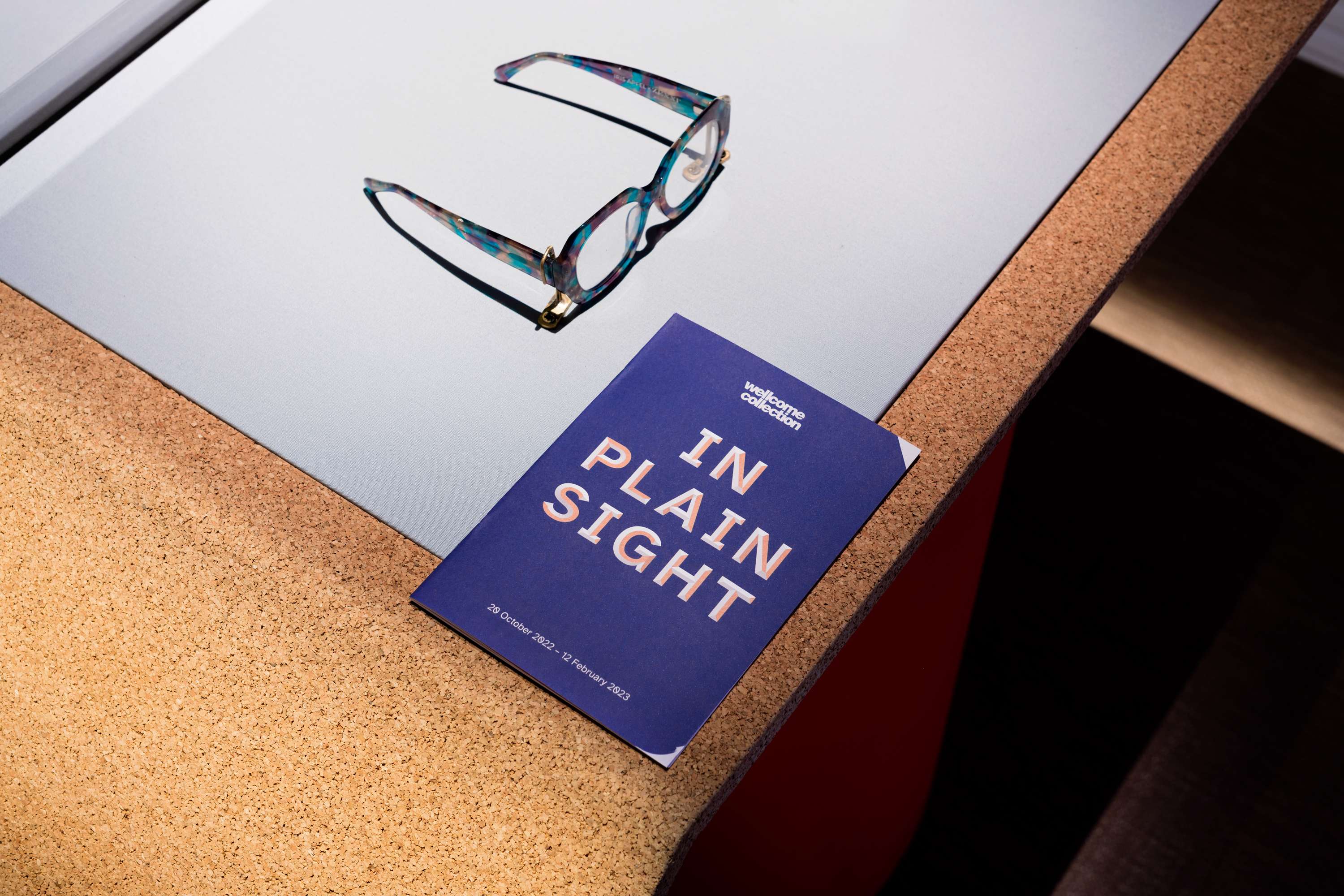 In Plain Sight by Luke Gould