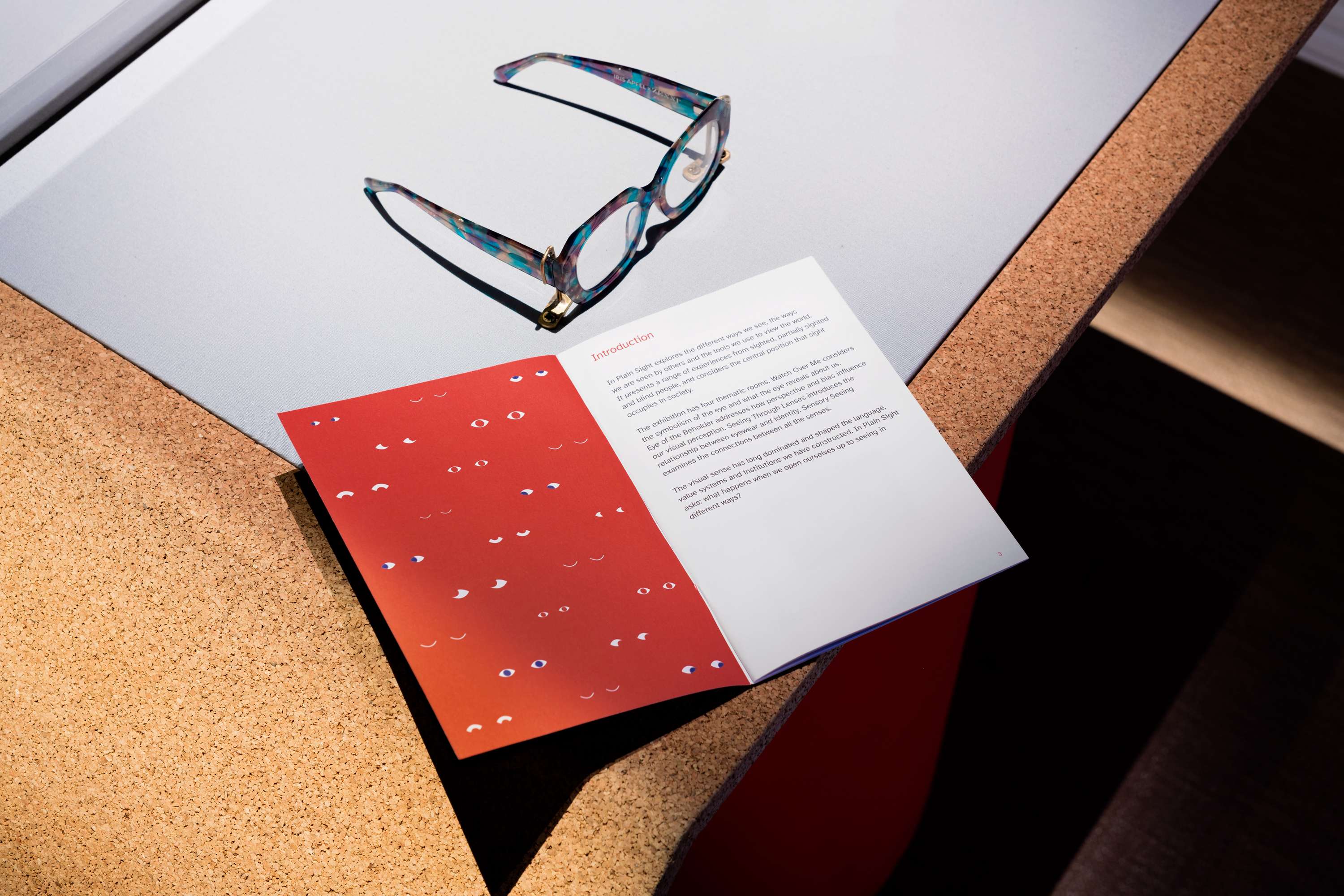 In Plain Sight by Luke Gould