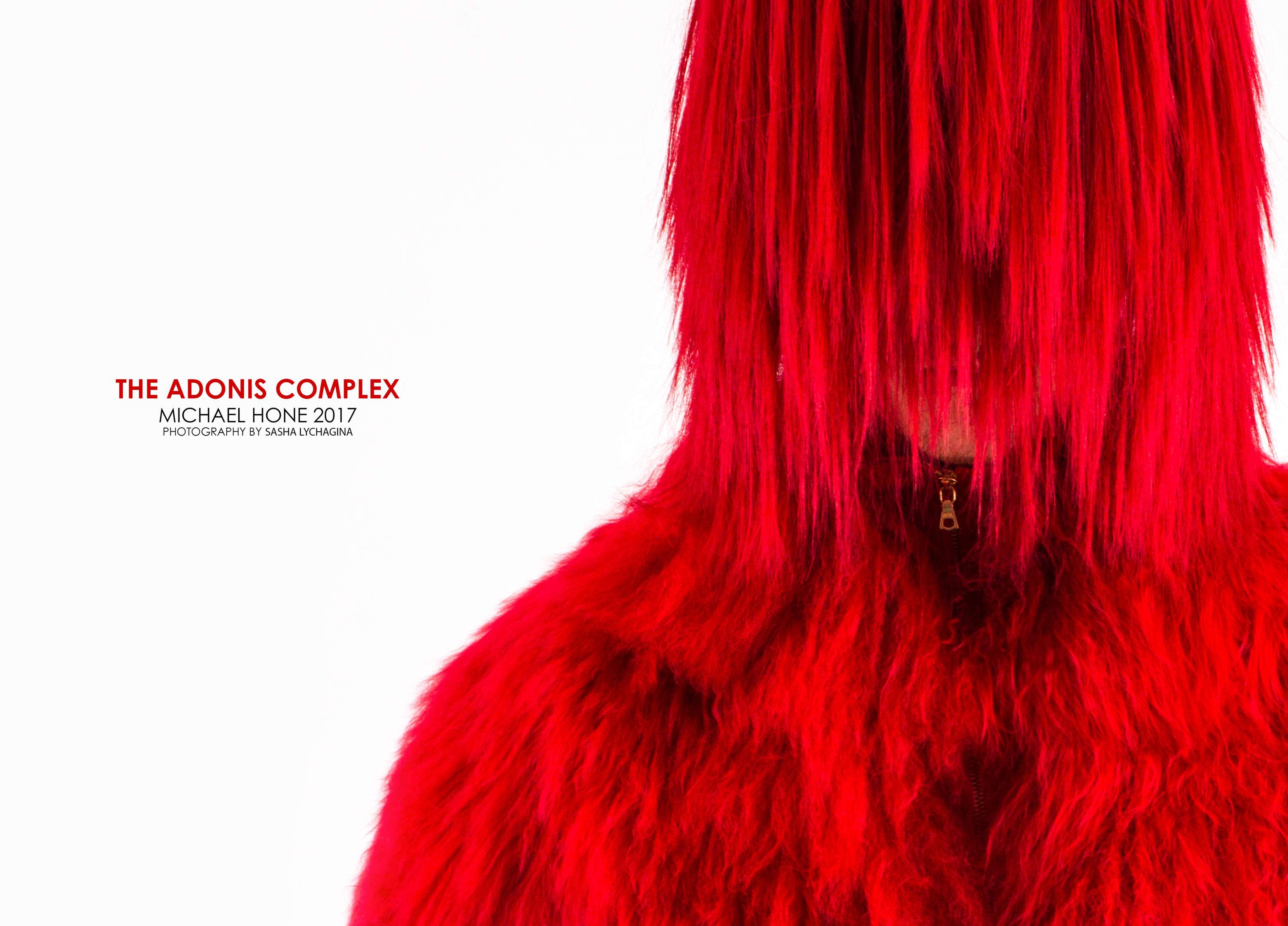 The Adonis Complex by michael Hone