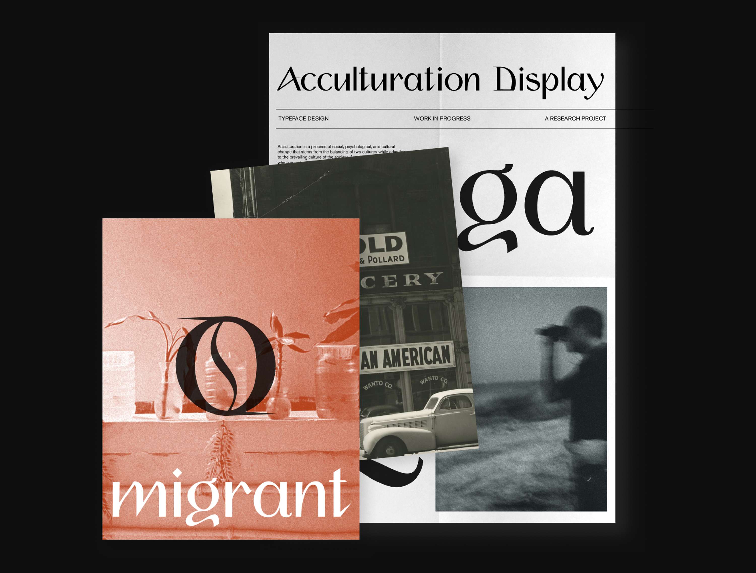 ACCULTURATION DISPLAY by Agnese Pulvirenti