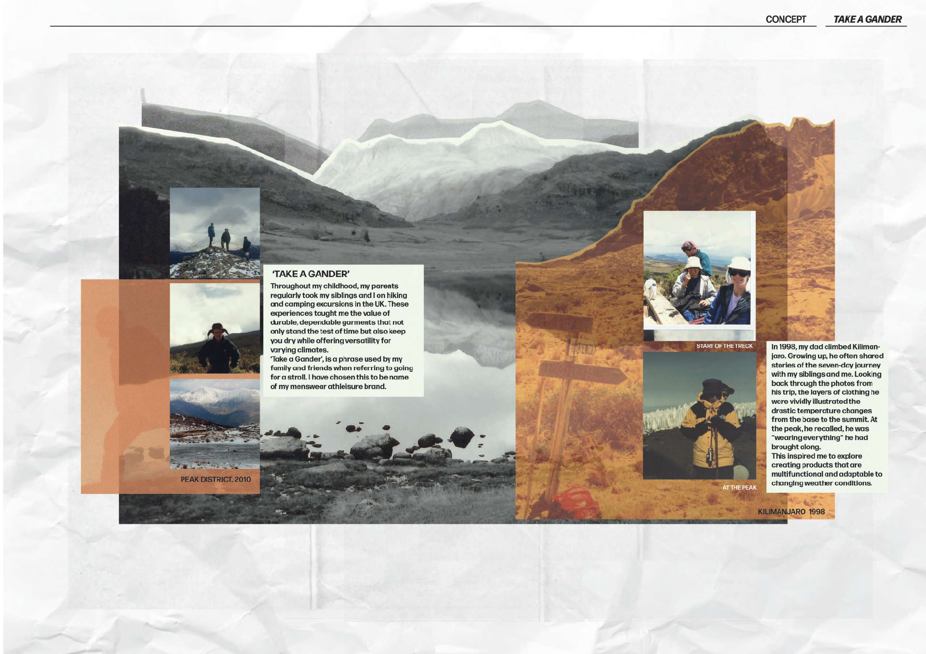 Final University Project - Take a Gander by Sadie Jones