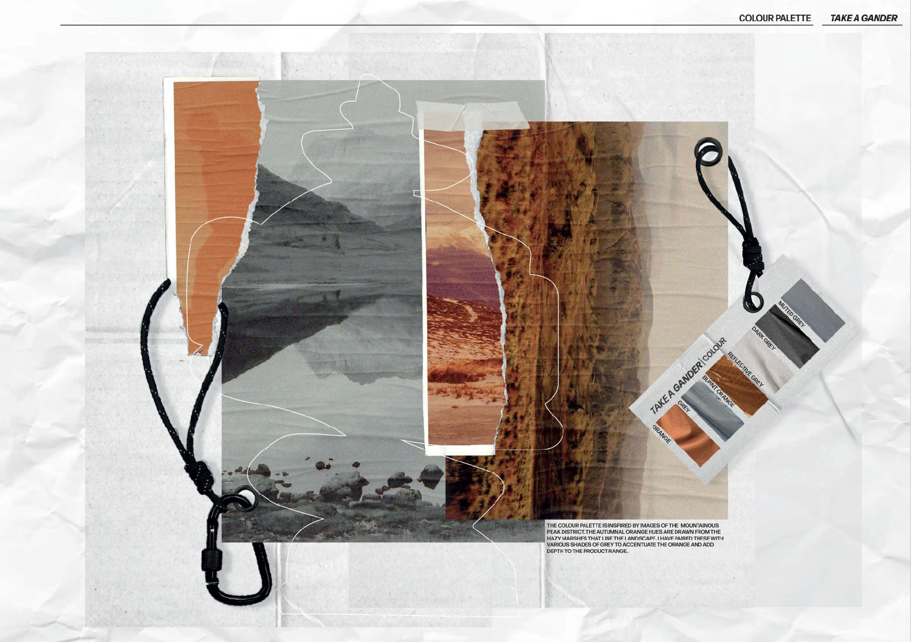 Final University Project - Take a Gander by Sadie Jones