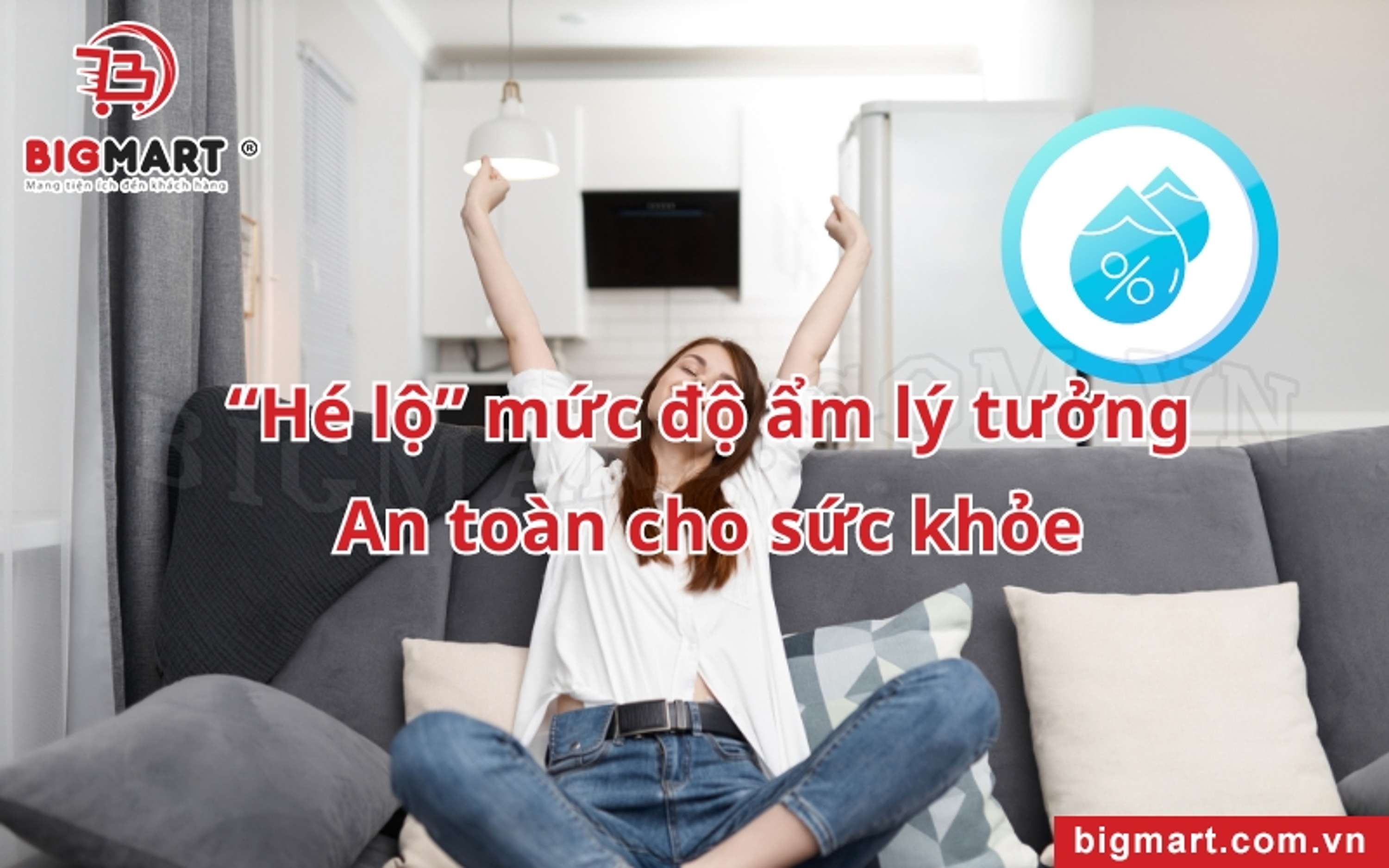 Khám phá xem Độ Ẩm Lý Tưởng là bao nhiêu by Thạch Trang Trần