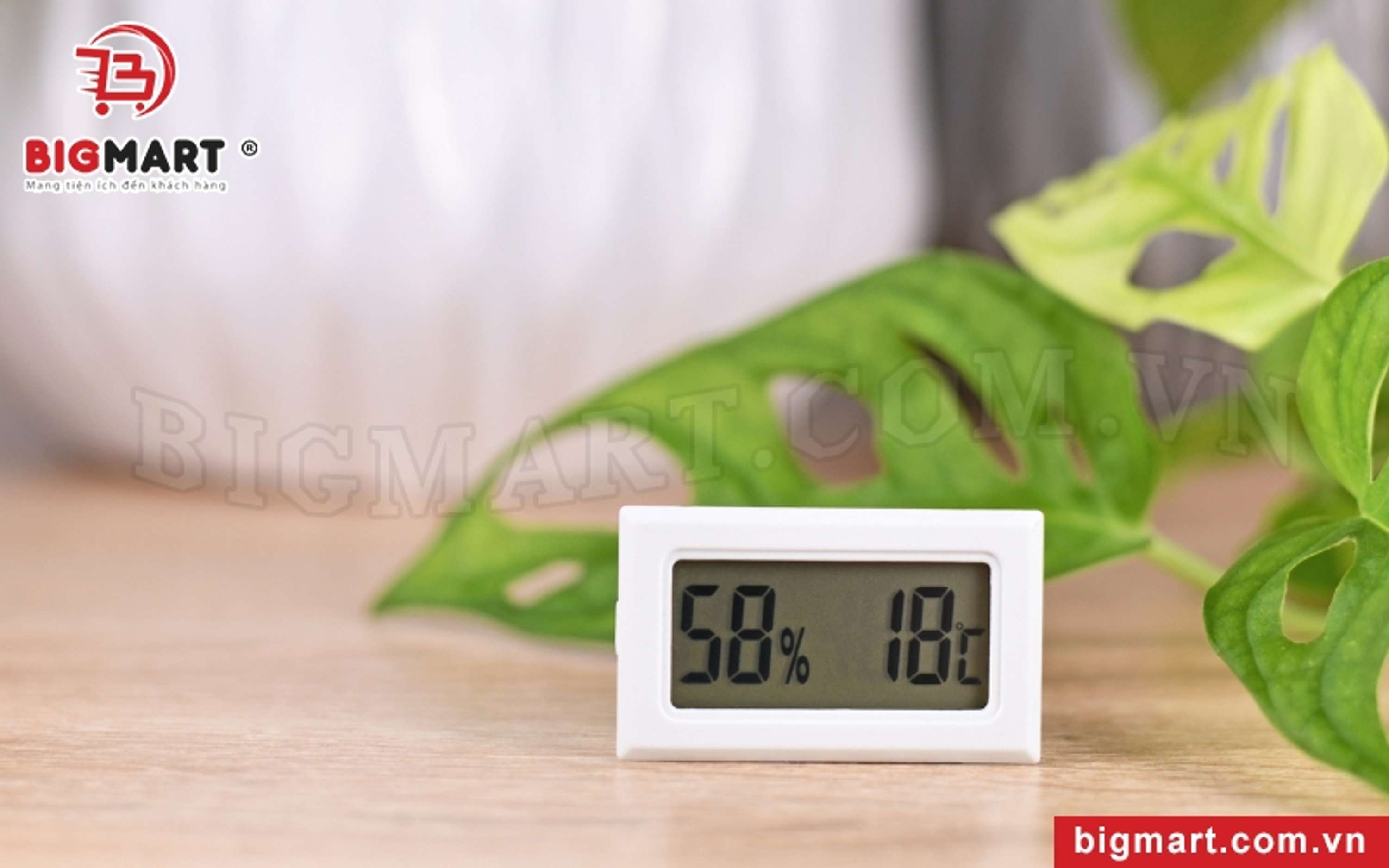 Khám phá xem Độ Ẩm Lý Tưởng là bao nhiêu by Thạch Trang Trần