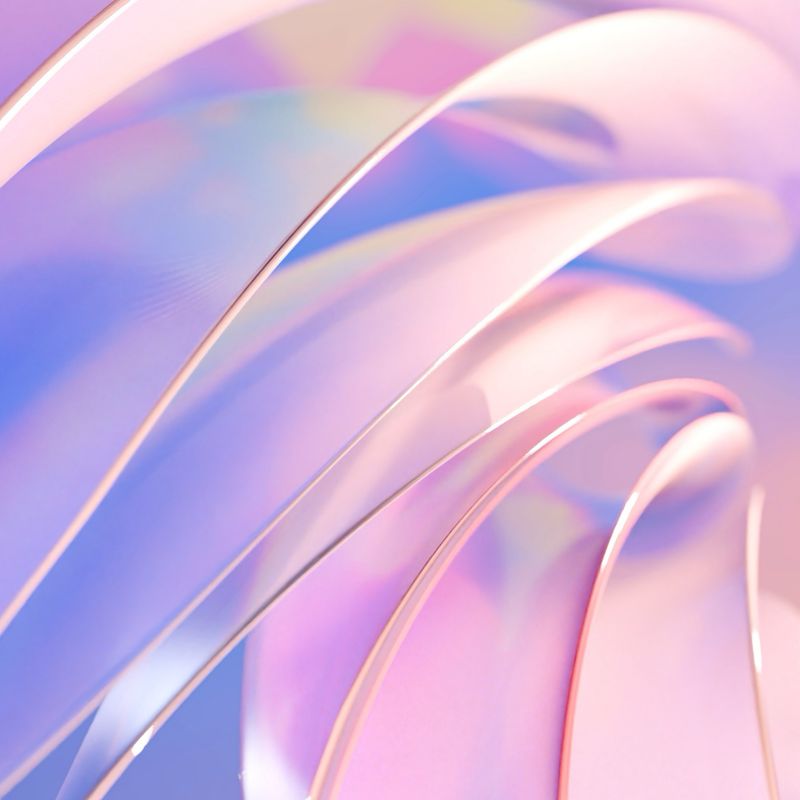 Visual by Isabel Sun