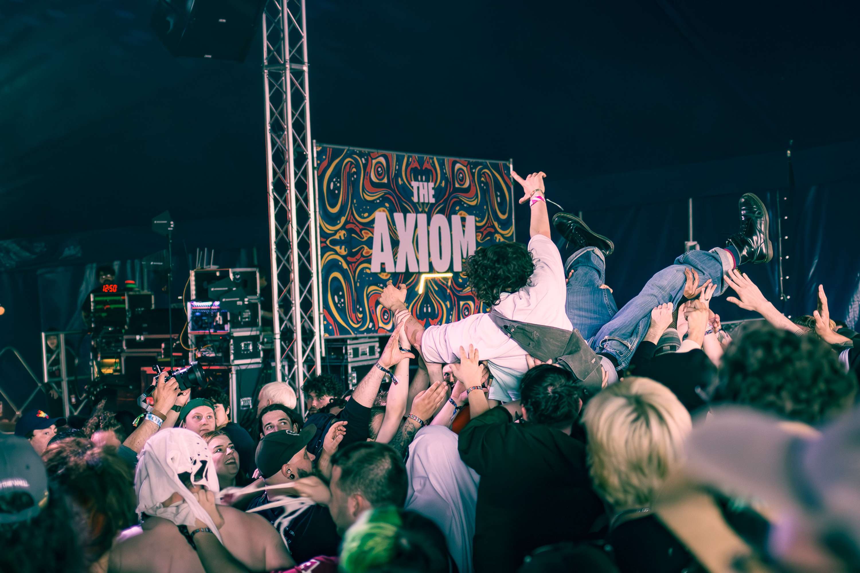 2000 Trees 2024 / Michael Cera Palin by Chloe Jackson-Nott