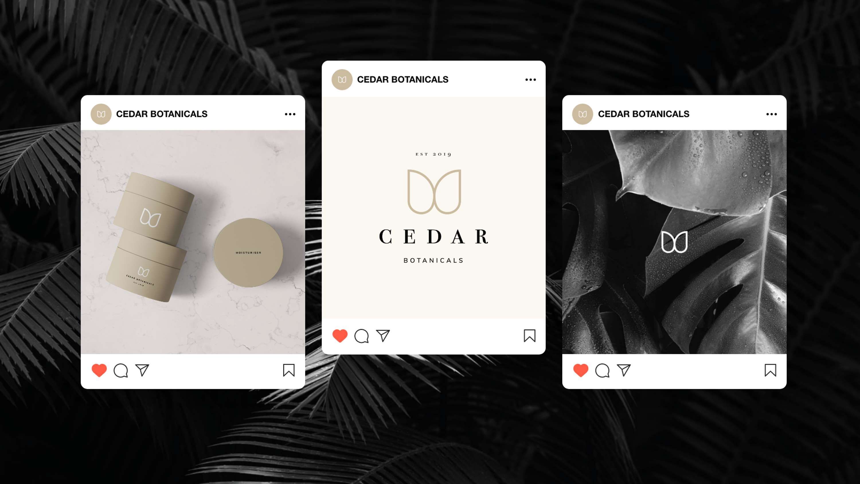 General Branding & Asset Design by Robert Chitty