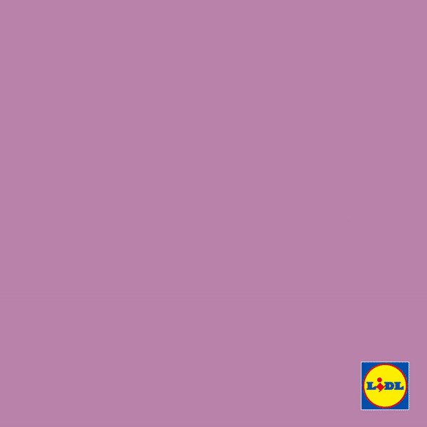 Lidl Oomph recipes by Jennifer Hayashi