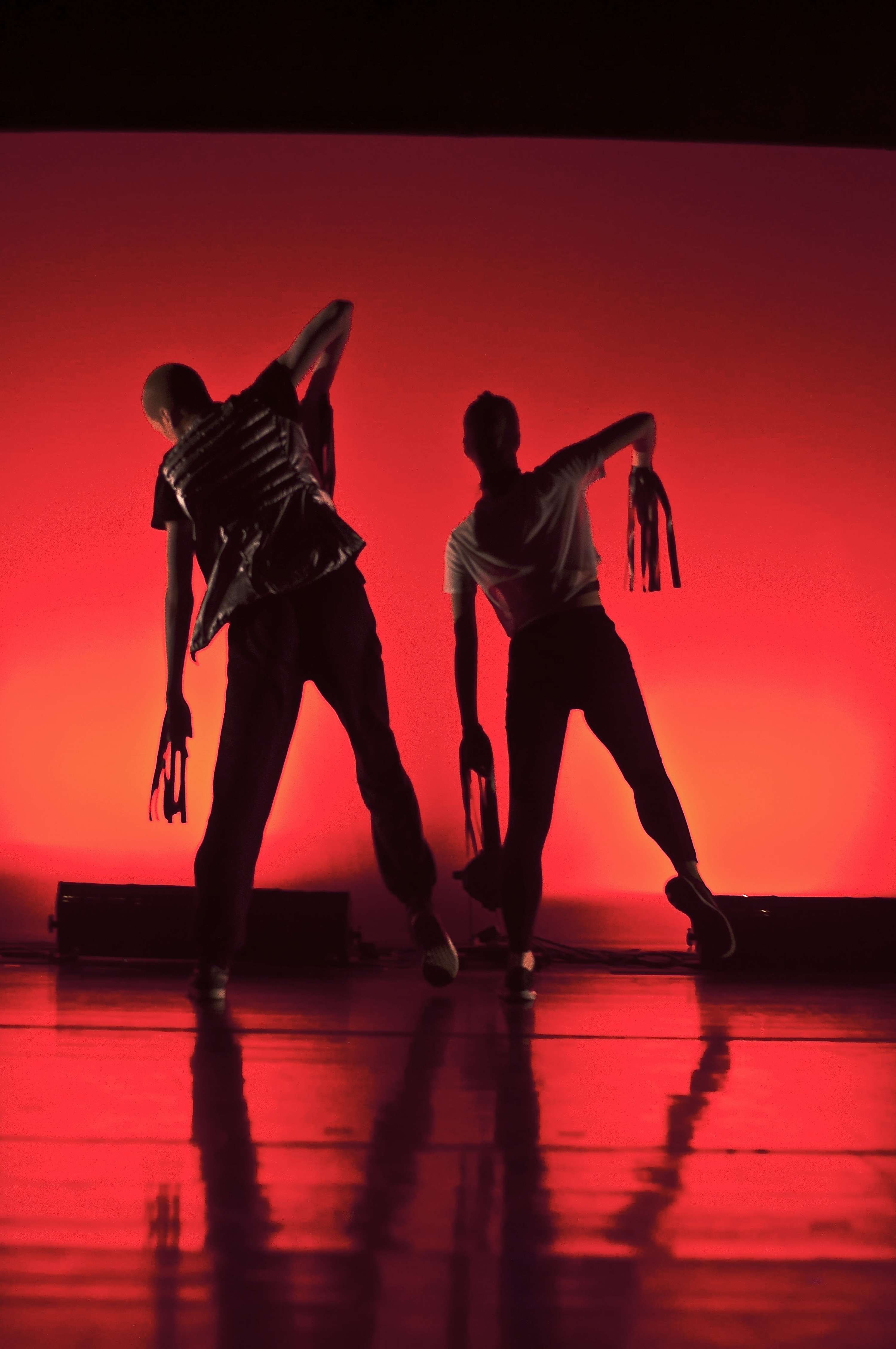 Design for Dance by Sofia Birman