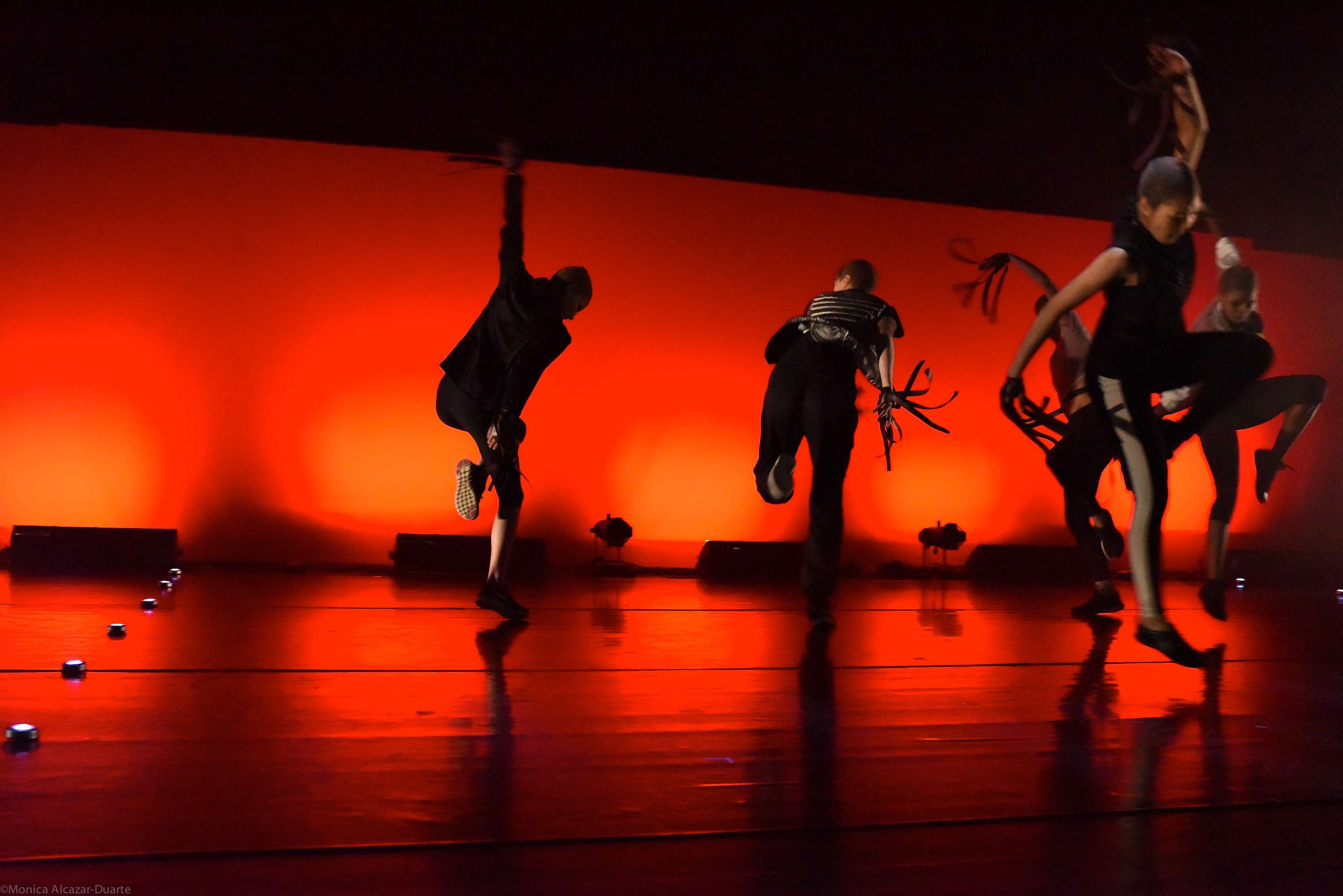 Design for Dance by Sofia Birman