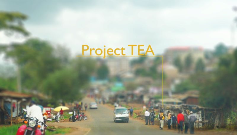 Project TEA by Sakura Endo