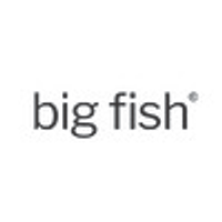 big fish design limited logo