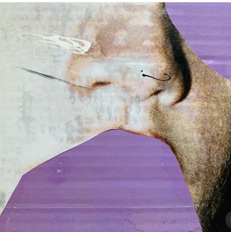 Art exhibition Shape_Shifting by flavia felipe