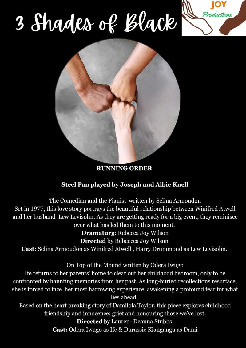 'In Their Hands' - 3 Shades of Black by Veronica Ellis