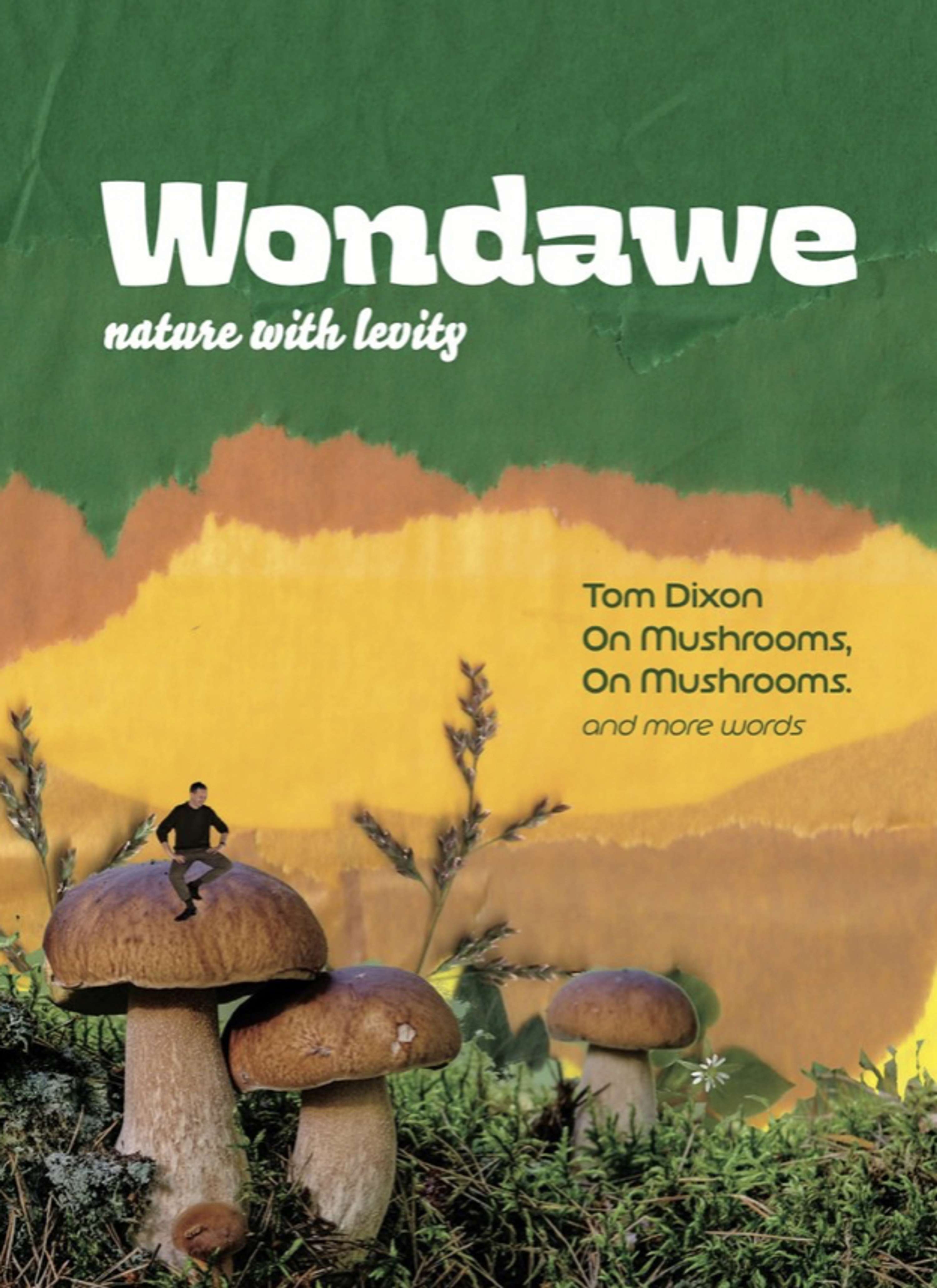 Wondawe by Mark Hooper
