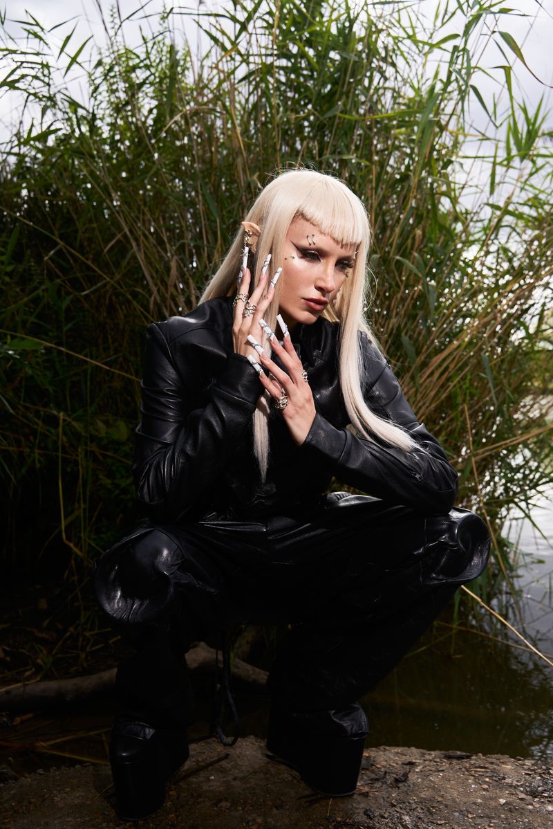 The Corrupt Pixie by Olivia Wolstenholme