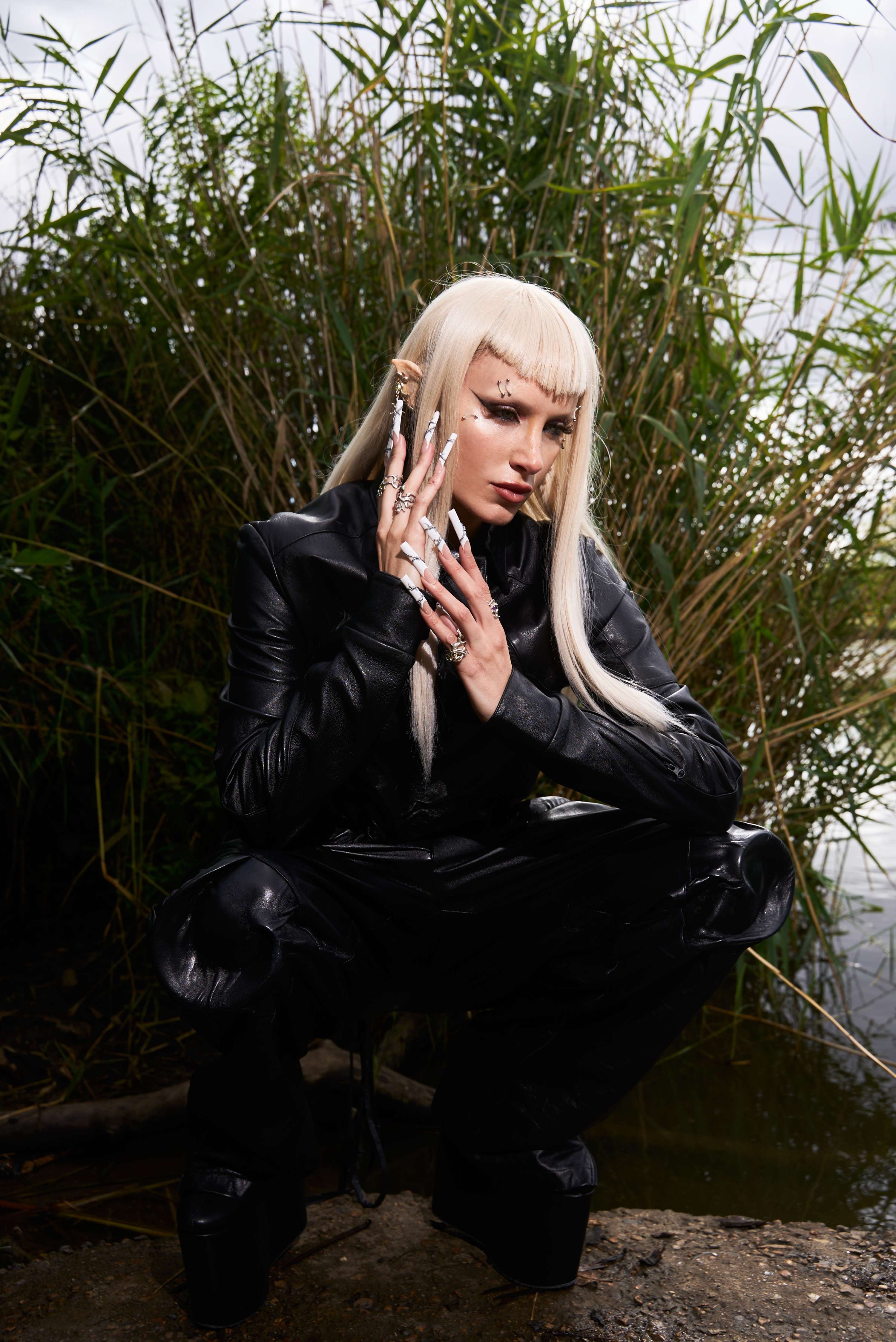 The Corrupt Pixie by Olivia Wolstenholme