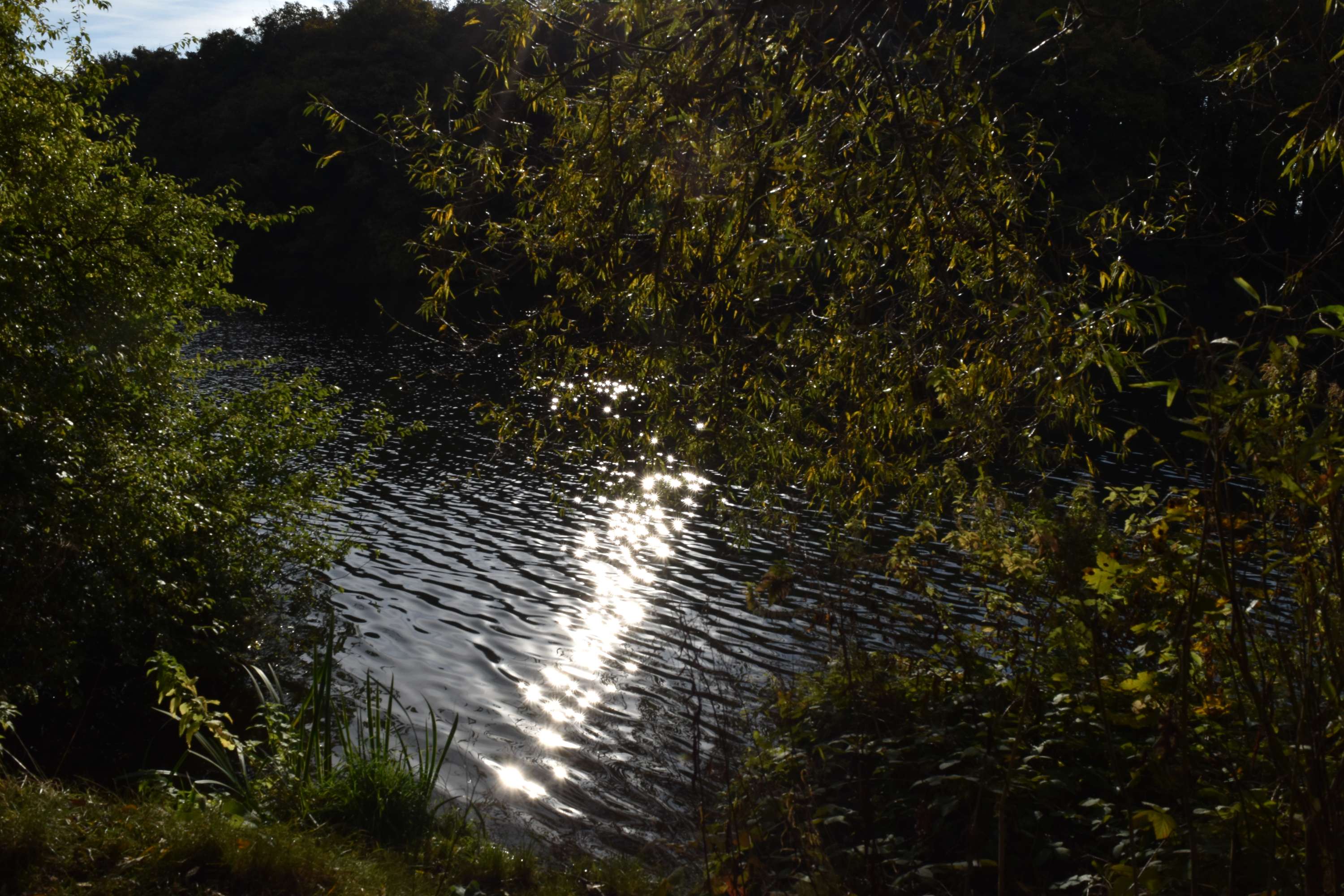 Experiment with manual mode by Charlotte Brown
