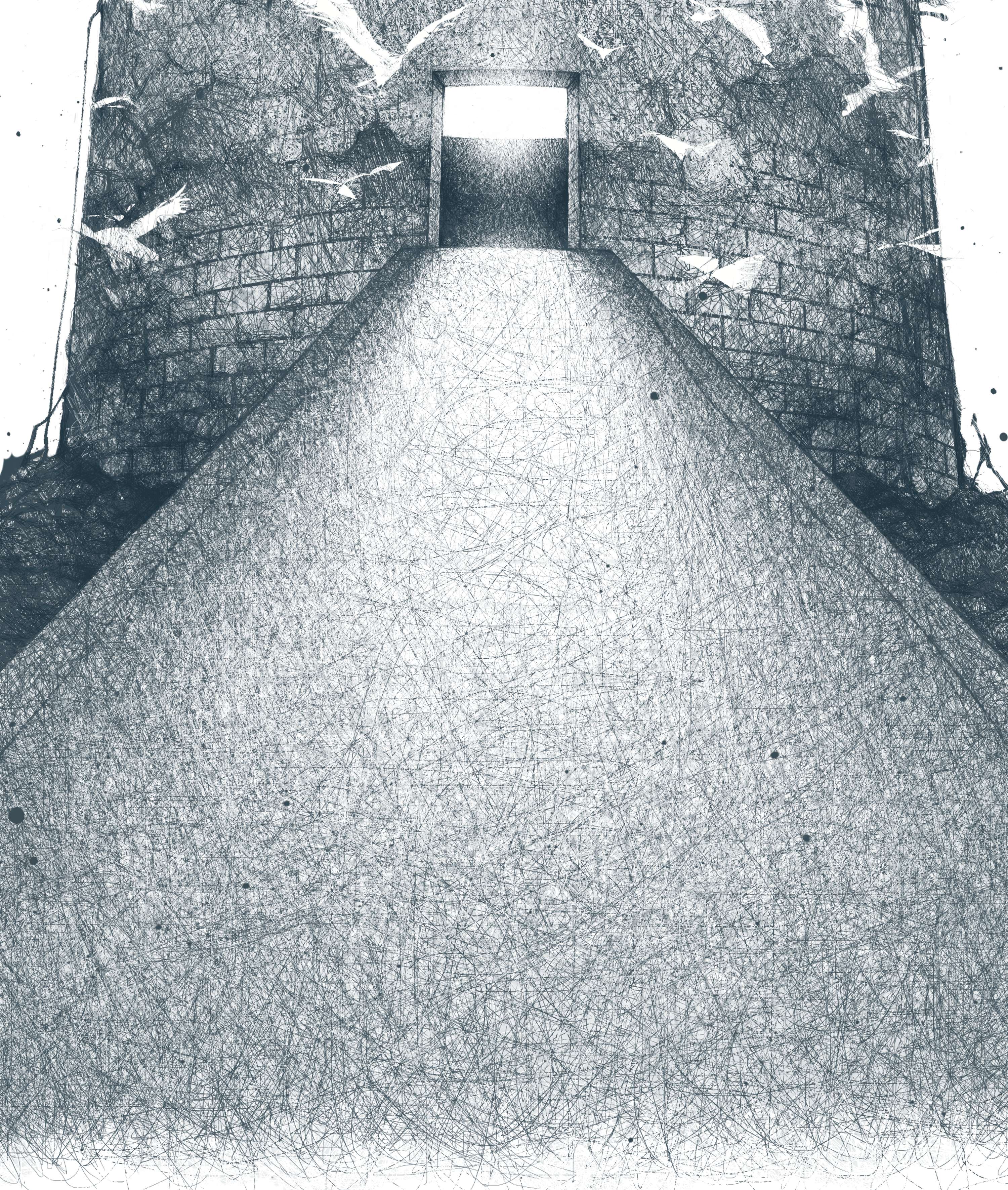 Harvard Divinity Bulletin by Andrew Zbihlyj